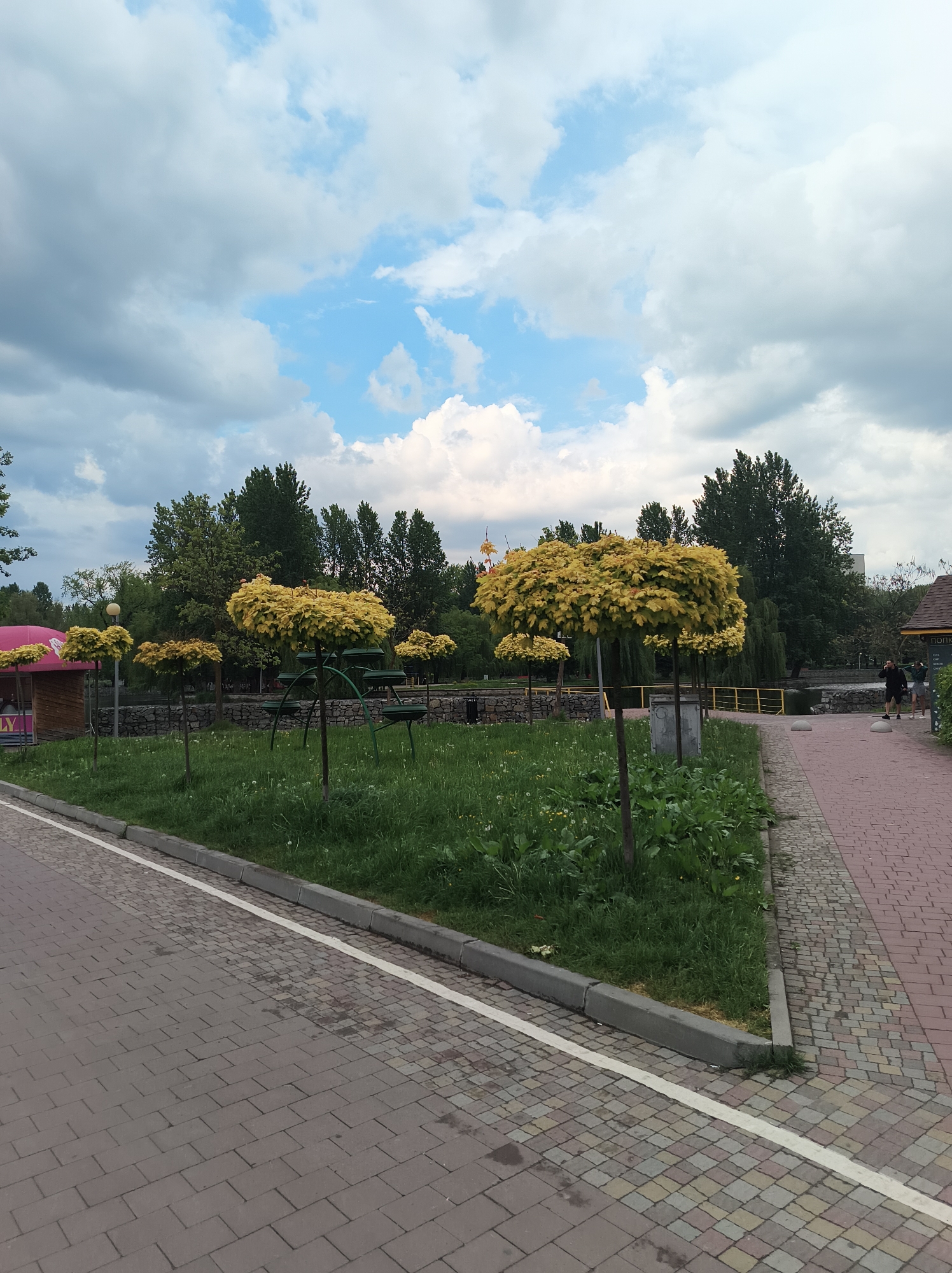 The image captures a scene in Ternopil, Ukraine, specifically in a park-like setting. In the foreground, a pathway paved with brick and stone stretches into the distance with a white line painted down the left edge, delineating it from a small grassy area. In this grassy area, several trees are planted. The trees have yellow leaves and are pruned to a rounded, lollipop shape. Behind the trees and grassy area, there is a body of water. Behind the water are numerous green trees with a ferris wheel visible between two sets of trees. To the right, another brick paved pathway is seen where a person is walking towards the right side of the frame. The sky occupies the upper portion of the image. The sky is partially cloudy with blue patches visible between the grey and white clouds.