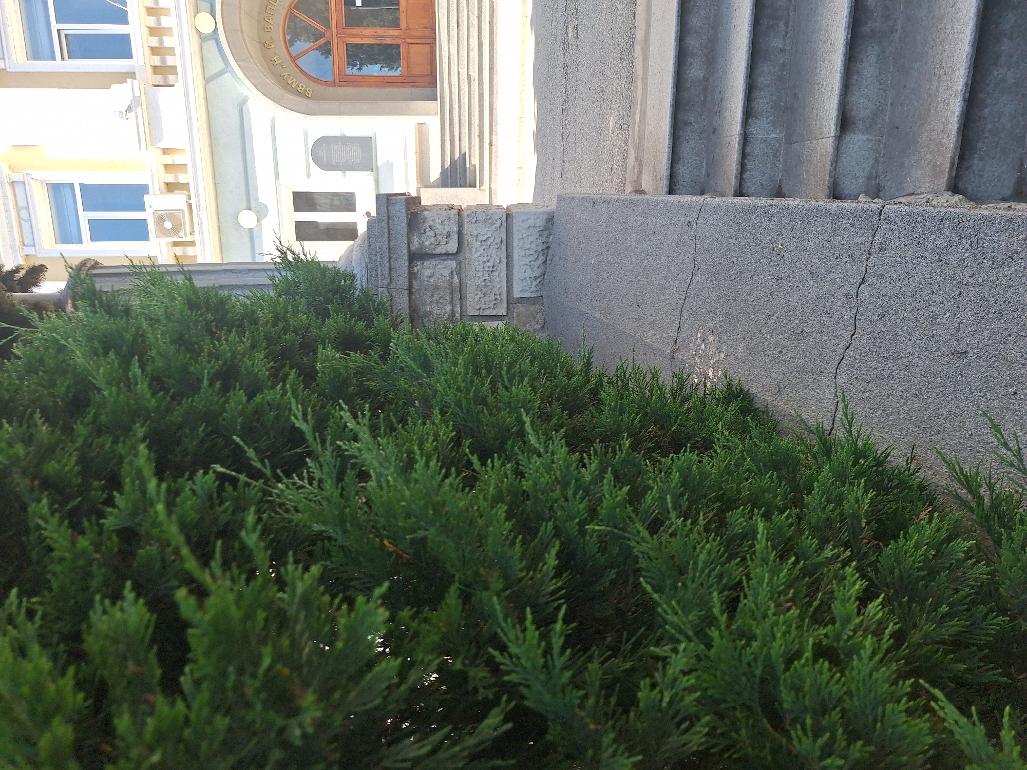 The image captures a section of a building's exterior, featuring a manicured evergreen hedge in the foreground and a portion of a stone pillar and steps leading up to an entrance. The building appears to be educational or administrative, with large windows and arched doorways. Text visible on the building, in Cyrillic script, indicates it is likely located in Varna, Bulgaria. Specifically, the text "ВВМУ Н. Й. ВАПЦАРЕВ" translates to "Naval Academy Nikola Vaptsarov," a prominent institution in Varna. The scene is set outdoors on a clear day, with sunlight casting shadows on the steps and pavement. No people are visible in the frame. The focus is on the architectural details of the building and the surrounding landscaping.