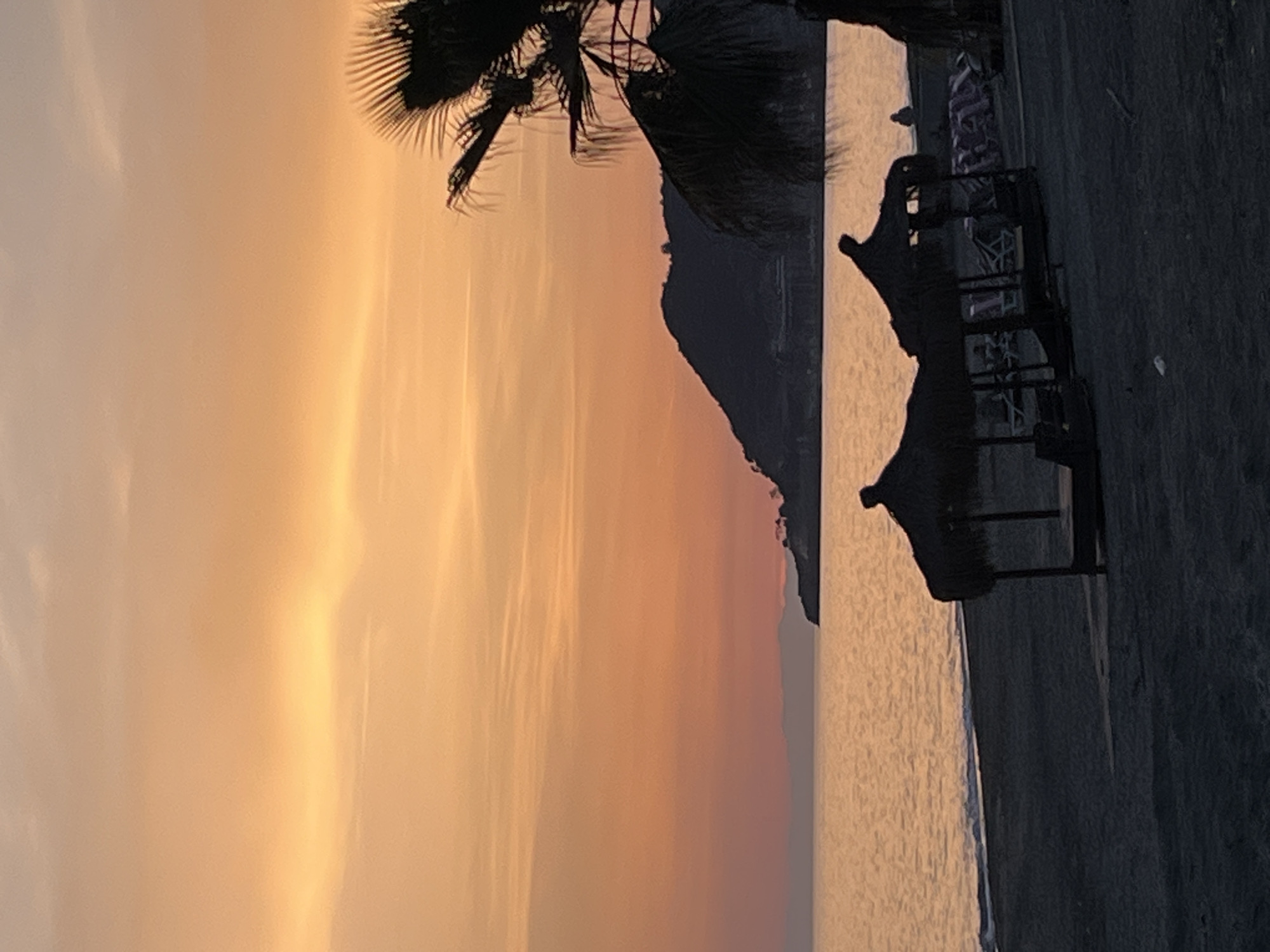 The image shows a beach scene at sunset in Alanya, Turkey. A dark land mass is partially visible in the center, with a calm body of water in front of it. The sky is dominated by hues of orange and yellow. In the foreground, the silhouettes of palm trees and beach umbrellas are visible. Beach chairs are seen under the umbrellas. The terrain in the immediate foreground is dark and obscured. The image is rotated 90 degrees clockwise.