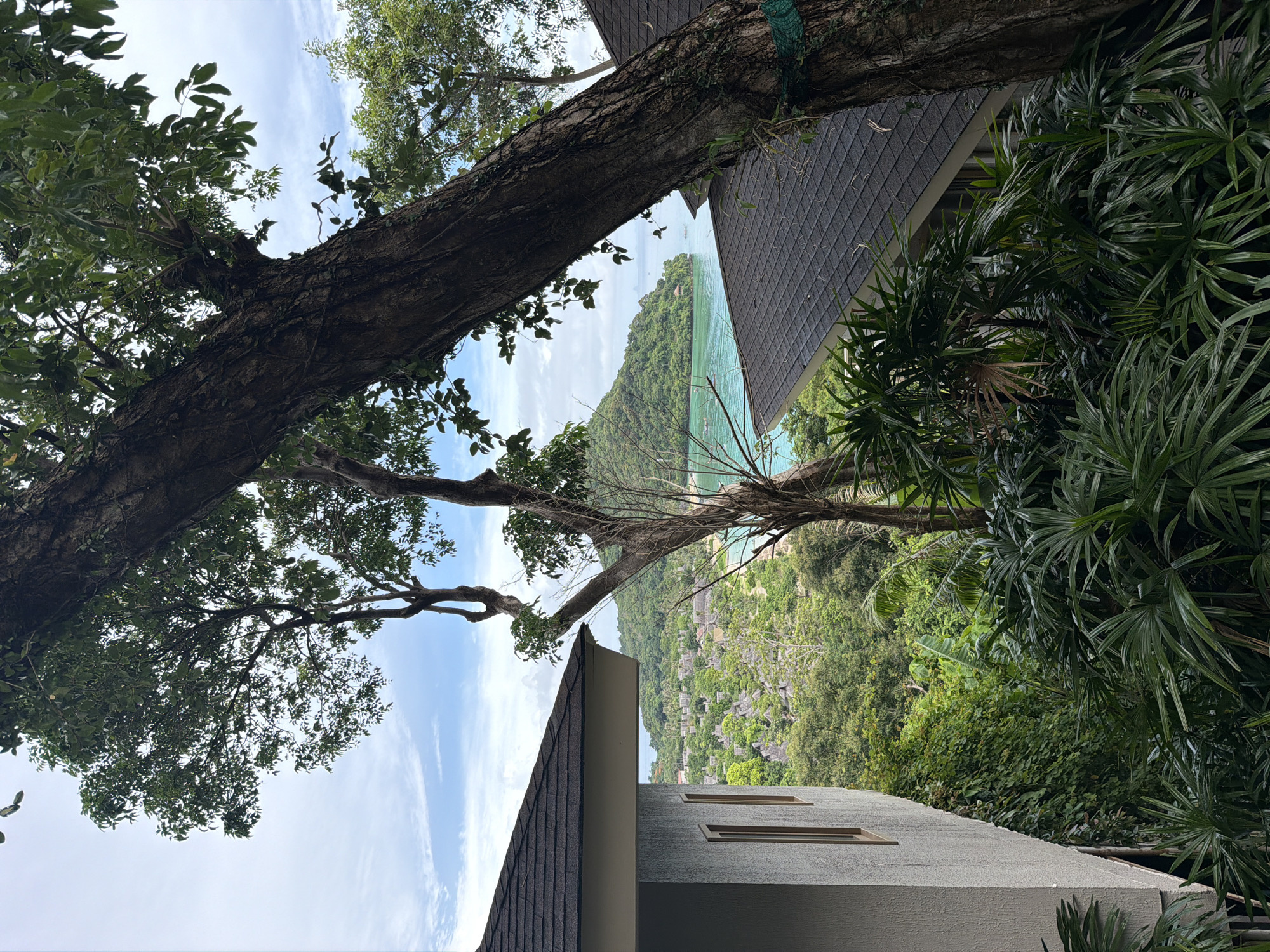 This image presents a view from a tropical resort in Ao Nang, Thailand, overlooking the Andaman Sea. In the foreground, a large tree trunk with rough bark dominates the right side of the frame, its branches reaching upwards and obscuring parts of the sky. To the left, the corner of a building with a light-colored, textured wall and a brown-framed window is visible. The roof of another building, covered in dark gray shingles, is seen below and to the right of the tree.
Beyond these structures, a lush, green landscape unfolds. Dense tropical foliage, including palm fronds, carpets the hillsides. In the distance, the turquoise waters of the sea meet a verdant, mountainous island. The sky is a mix of blue with scattered white clouds. Small boats are visible in the water near the island. The scene conveys a sense of serene tropical beauty and resort living.