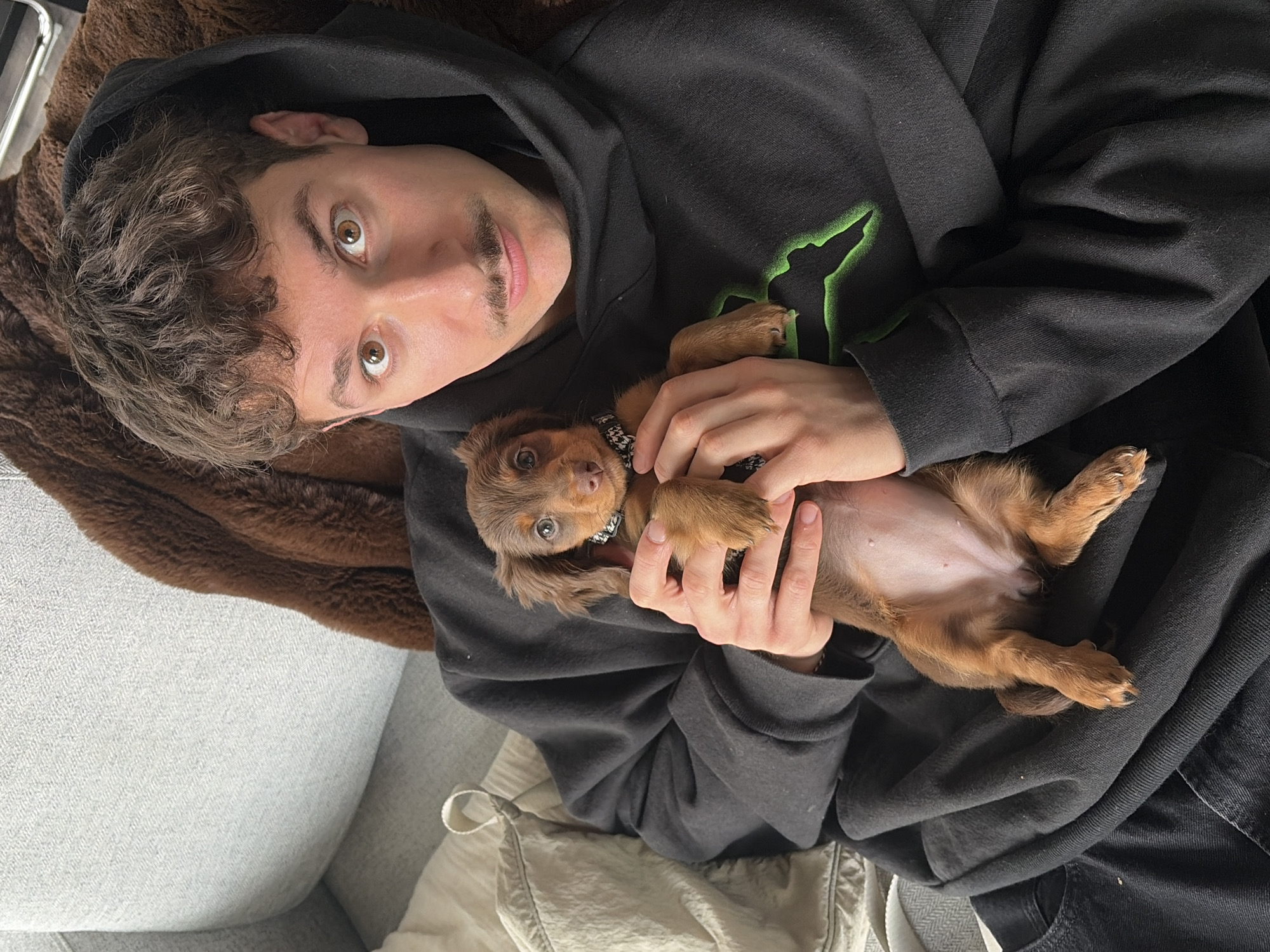 A man with a dark mustache lies on a gray couch, holding a brown dachshund puppy on its back. The man is wearing a black hoodie with a green design. A brown blanket is to the man's left. There is a light-colored garment with a drawstring to the right of the man's waist. The location is indoors but no specific details point to the city of Montreal, Canada.