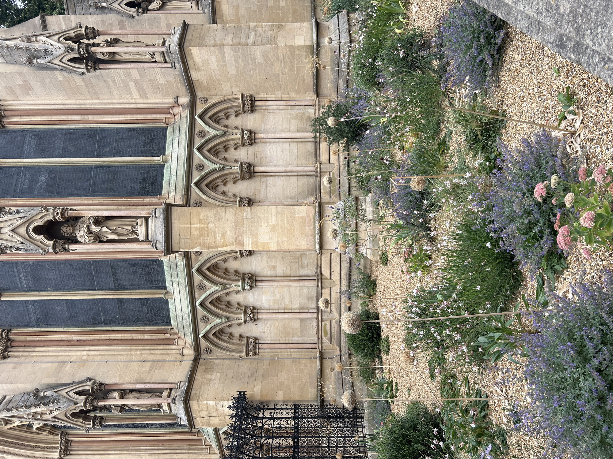 The image depicts the exterior of a Gothic-style building in Cambridge, United Kingdom, likely a church or a college building, characterized by its stone facade, arched windows, and ornate architectural details including statues in niches. In the foreground, a meticulously maintained garden features a variety of plants, including low-lying purple flowers, white wildflowers, and dried ornamental alliums, set against a backdrop of small, light-colored gravel. To the left, a black wrought-iron gate with intricate scrollwork is visible. The lighting suggests it is daytime, with soft shadows indicating an overcast or diffused light source.