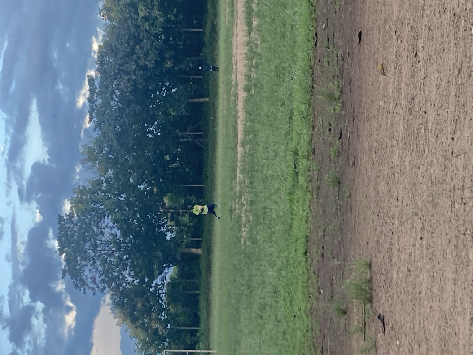 In Miango, Nigeria, under a cloudy sky, a lone individual in a yellow shirt and blue shorts runs across a grassy field. In the background, a line of trees stands tall. To the left, a white goalpost is visible, hinting at a sports field. Further in the distance, another person stands near the trees. The foreground shows a dirt path with scattered green grass and debris.