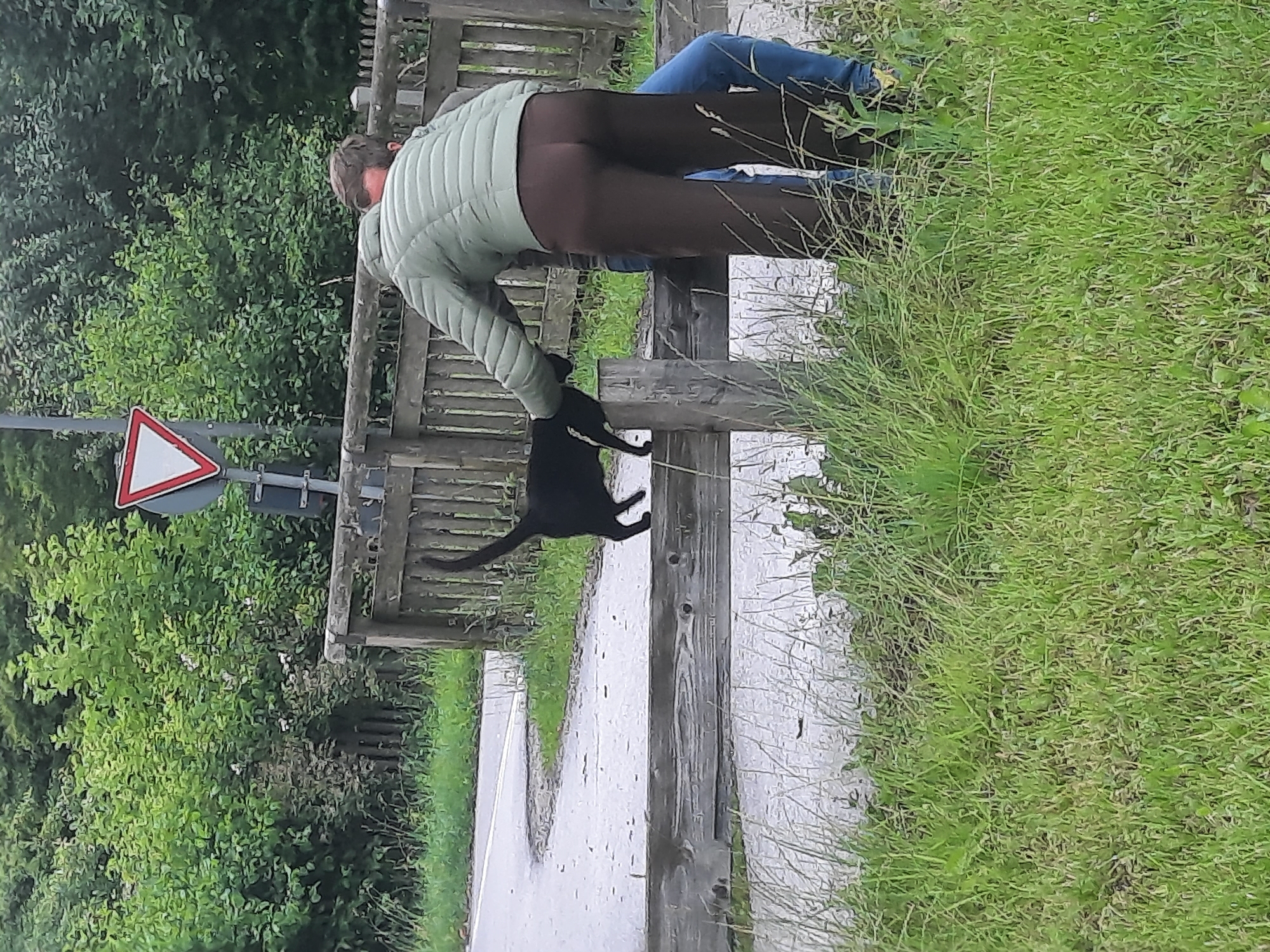 A black cat is standing on a wooden railing next to a paved road. A person wearing a green puffer jacket and brown leggings is reaching out to the cat. Another person, partially visible and wearing blue jeans, is standing behind the first person. The scene appears to be outdoors in a rural or suburban area, with trees and vegetation in the background, and a yield sign is visible on a pole to the left. The road curves to the left and is wet, suggesting recent rain.
