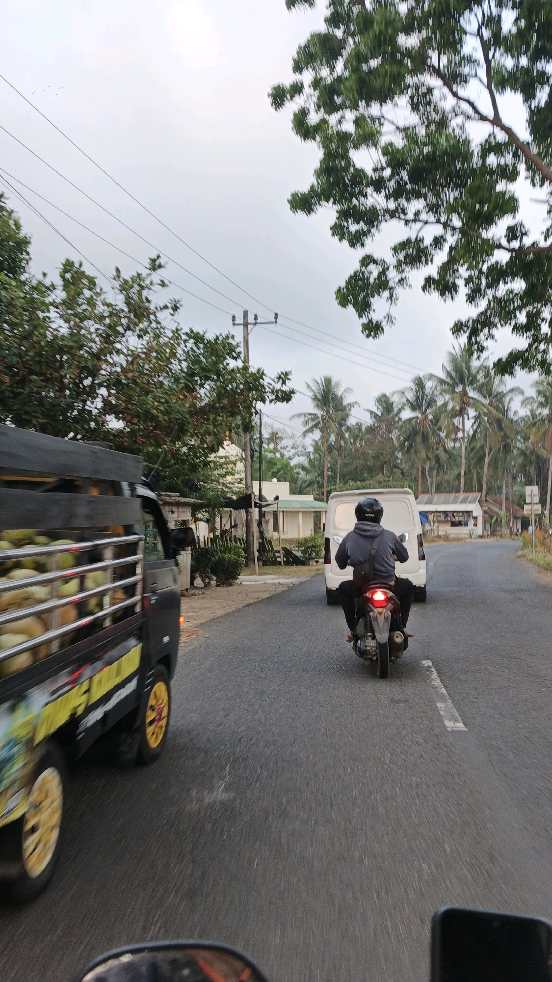 In Sukaresik, Indonesia, a road scene unfolds under an overcast sky, bordered by lush trees and palm trees. A black pickup truck, its bed filled with what appear to be coconuts, moves from left to right in the foreground. To its right, a person wearing a dark hooded jacket and a helmet rides a motorcycle, also moving away from the viewer. Further down the road, a white van is visible. The road itself has a white line marking its center. In the background, buildings with light-colored walls and green roofs are present, suggesting a residential or commercial area. Power lines crisscross the sky, and a utility pole stands on the right side of the road. The overall impression is a snapshot of everyday traffic in a tropical, semi-rural Indonesian setting.
