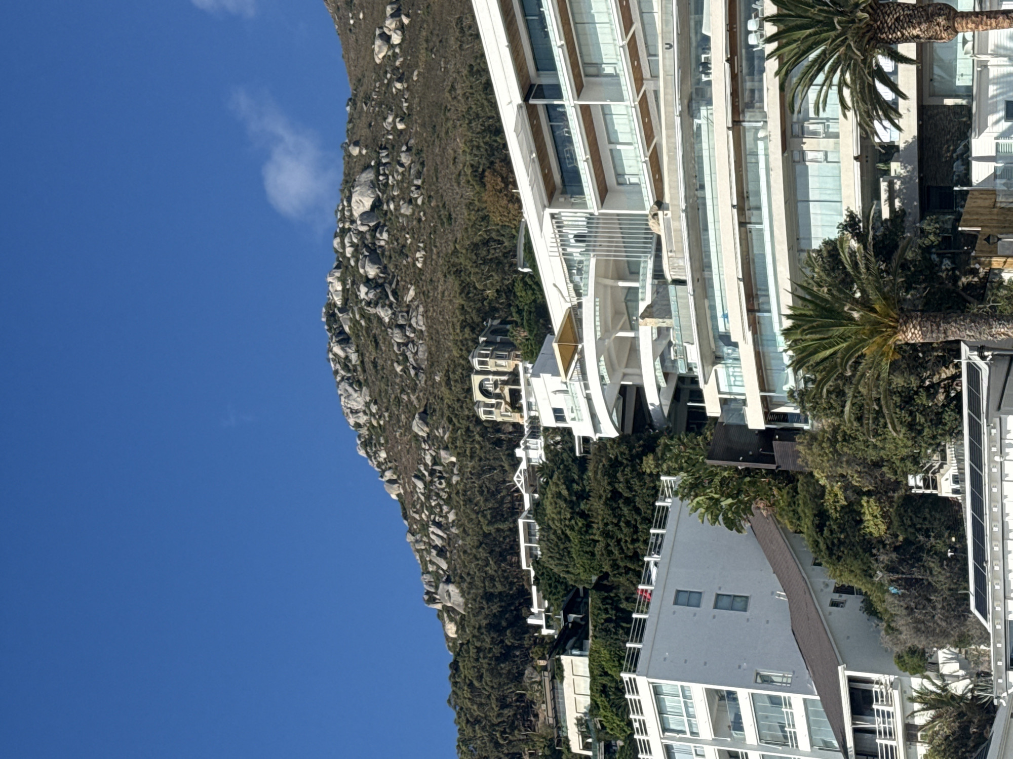 The image displays a steep, rocky mountainside in Cape Town, South Africa, under a clear, deep blue sky with a few wispy white clouds near the top right. The upper slopes feature numerous large, light-gray rock formations interspersed with sparse, dry vegetation. Below the rocky summit, the mountain transitions into a dense covering of dark green trees.
Numerous multi-story residential buildings are integrated into the mountainside. These structures are predominantly modern in design, featuring white or light-colored exteriors, extensive use of glass balconies with transparent or white railings, and large windows. Many buildings exhibit a tiered or stepped construction that conforms to the slope. In the mid-ground, a large white complex features multiple levels of curved balconies with glass balustrades. Further up the hill, a distinctive, ornate light-colored building with a multi-peaked roof is visible among the trees. To the left, a tall, rectangular white building has multiple balconies; on its highest visible balcony, a small red object, possibly a vehicle, is visible behind a white railing.
The foreground includes two prominent palm trees with textured brown trunks, partially obscuring the lower portions of the buildings on the right. In the lower-left foreground, a section of a flat roof is visible, equipped with a series of dark solar panels. White outdoor furniture is discernible on some of the balconies. No individuals are visible, and no active interactions are depicted within the scene.