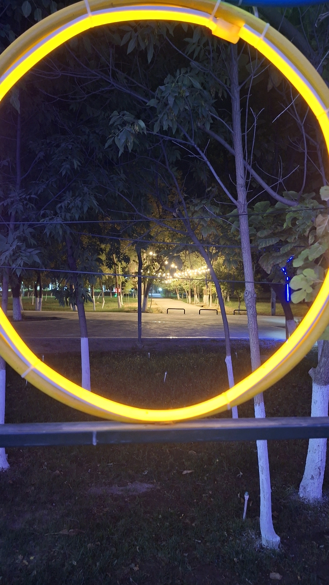 The image depicts a park at night in Navoiy City, Uzbekistan. A bright yellow neon ring is prominently in the foreground, partially obscuring the view of the park beyond. Through the ring, one can see trees with their trunks painted white, suggesting a manicured public space. String lights are visible in the background, illuminating pathways and park benches. The ground is covered in grass and fallen leaves. The overall scene suggests a recreational area that is lit up for evening use.