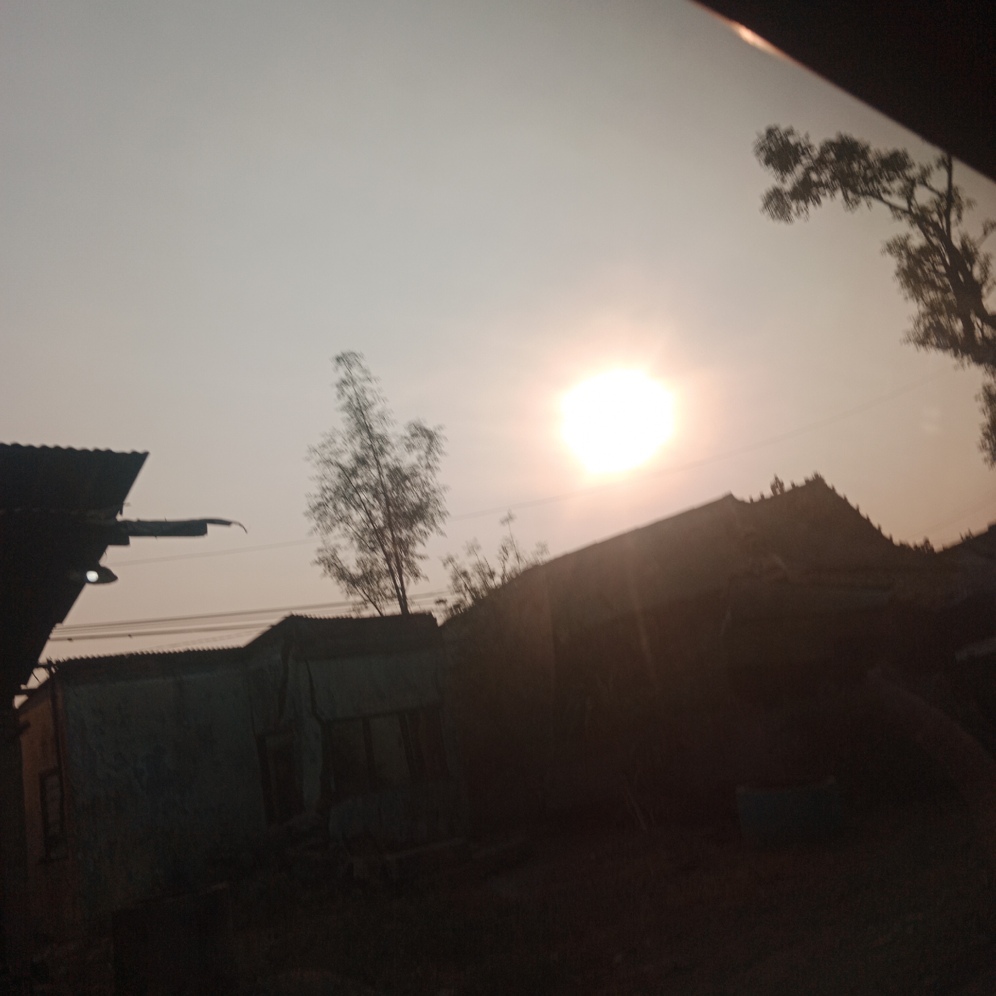 The image depicts an outdoor scene, likely taken at dusk or dawn, given the low angle of the sun and the soft lighting. The sun itself is a bright, almost washed-out orb in the sky, located in the upper right quadrant of the image. The sky is a pale orange or pinkish hue, indicating atmospheric haze or the specific time of day.
In the foreground, silhouetted against the sky, are several structures that appear to be makeshift dwellings or sheds. On the left, a dark, corrugated metal roof is visible, with what looks like a gutter or pipe extending outwards. Further into the scene, more structures with sloped roofs are apparent, some covered with a lighter colored material, possibly tarpaulin or fabric. These structures suggest a residential or informal settlement.
A thin, bare tree with sparse branches stands to the left of the sun, its silhouette sharp against the sky. To the right of the sun, the ridge of a darker, larger structure is visible, topped with several small, dark figures that could be people or animals. A portion of a tree with dense foliage is also visible in the upper right corner, partially obscuring the sky.
The ground is dark and indistinct, with hints of vegetation or debris. The overall impression is of a humble, possibly rural or semi-urban environment, characterized by simple construction and natural elements. The image does not contain enough detail to specify a precise location within Bringin, Indonesia, beyond suggesting it is an outdoor area.