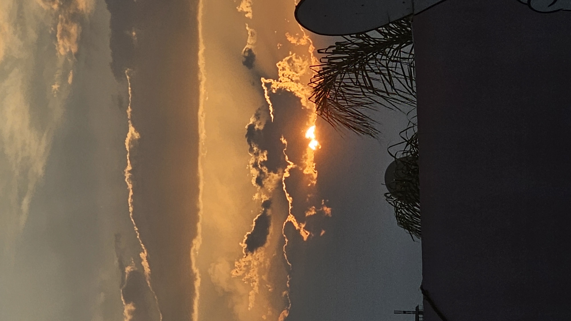 A vertical, low-angle outdoor shot captures a dramatic sunset in Puebla, Mexico. The sky is filled with dark, streaky clouds highlighted by a vibrant orange glow where the sun is partially visible. Silhouetted against the light are a palm frond, two satellite dishes, and the edge of a building or structure on the right. The foreground on the right is dominated by a dark, featureless mass. The photograph is rotated counter-clockwise by 90 degrees.