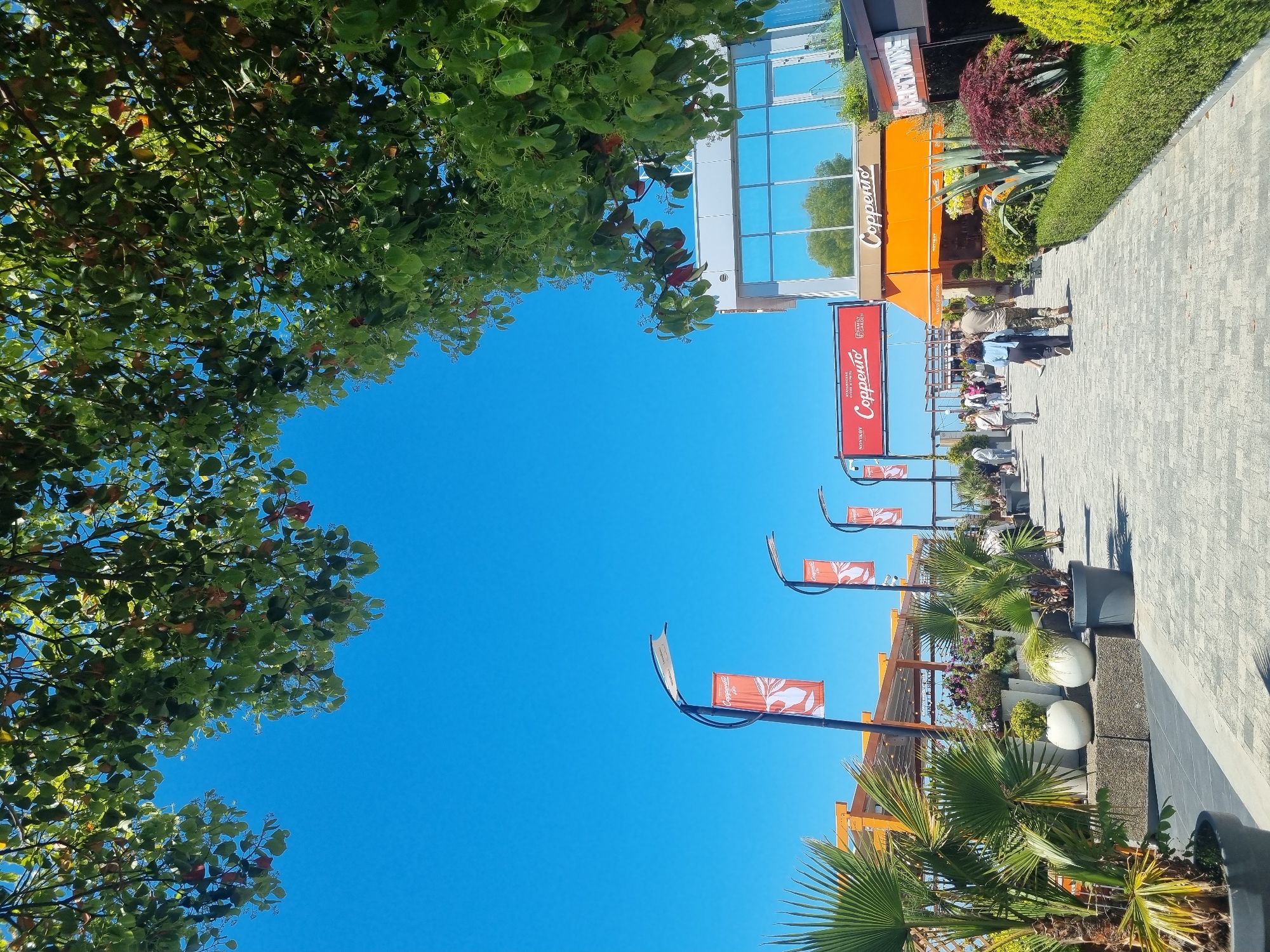 A view of Sochi, Russia, features a blue sky framed by trees. The right side of the image shows a paved sidewalk next to the Copperto restaurant, indicated by signage and the building's orange facade. People are present, with a few walking on the sidewalk. Decorative elements include plants in pots along the sidewalk and flags on lampposts.