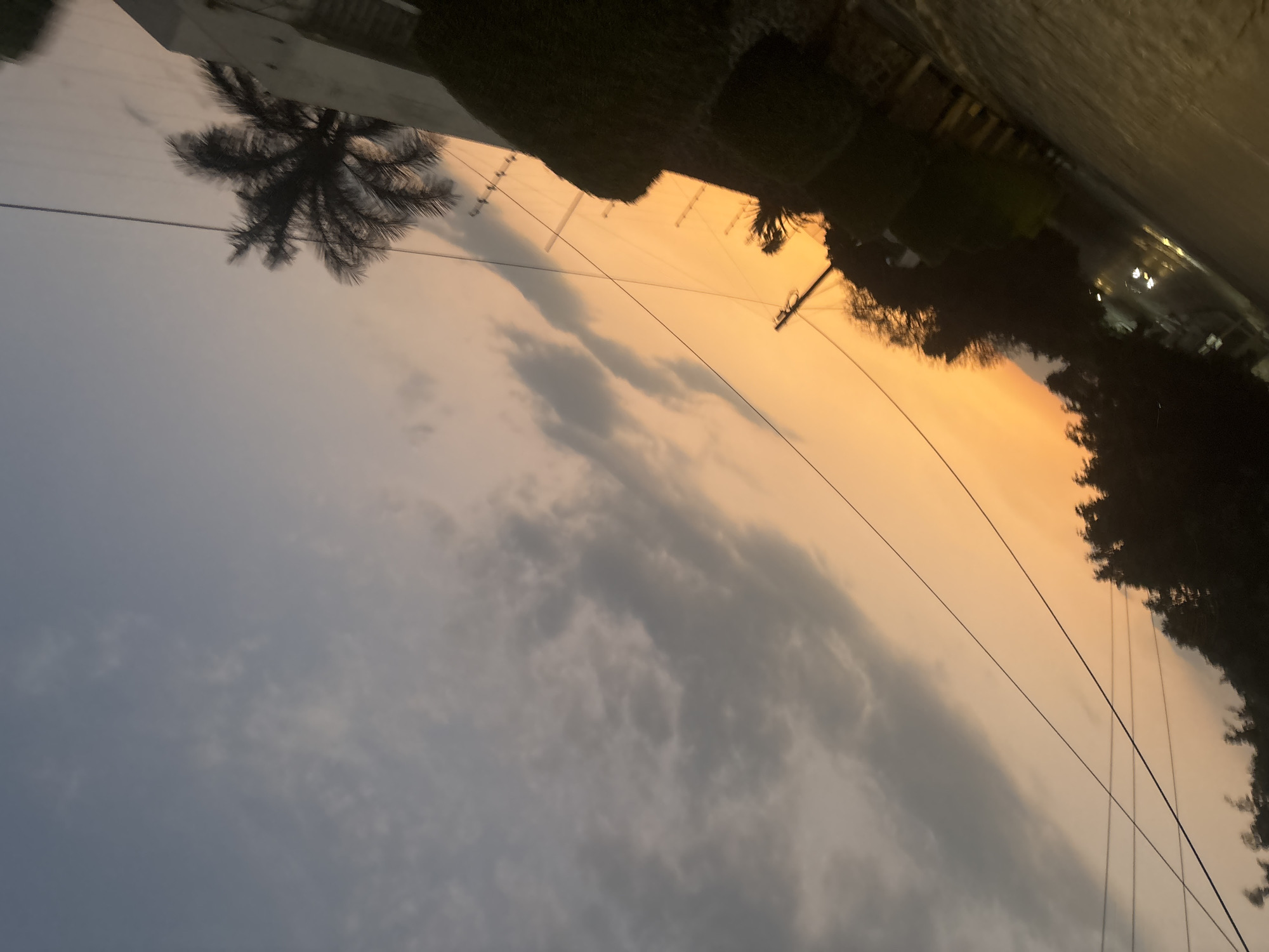 The image shows a low-angle view of a sky in Cuernavaca, Mexico, featuring a sunset or sunrise with hues of orange transitioning into gray. The sky is partly cloudy. In the upper-left, there is a silhouette of a palm tree and part of a building. The upper-right portion shows the tops of trees and streetlights. Power lines are visible extending across the sky.