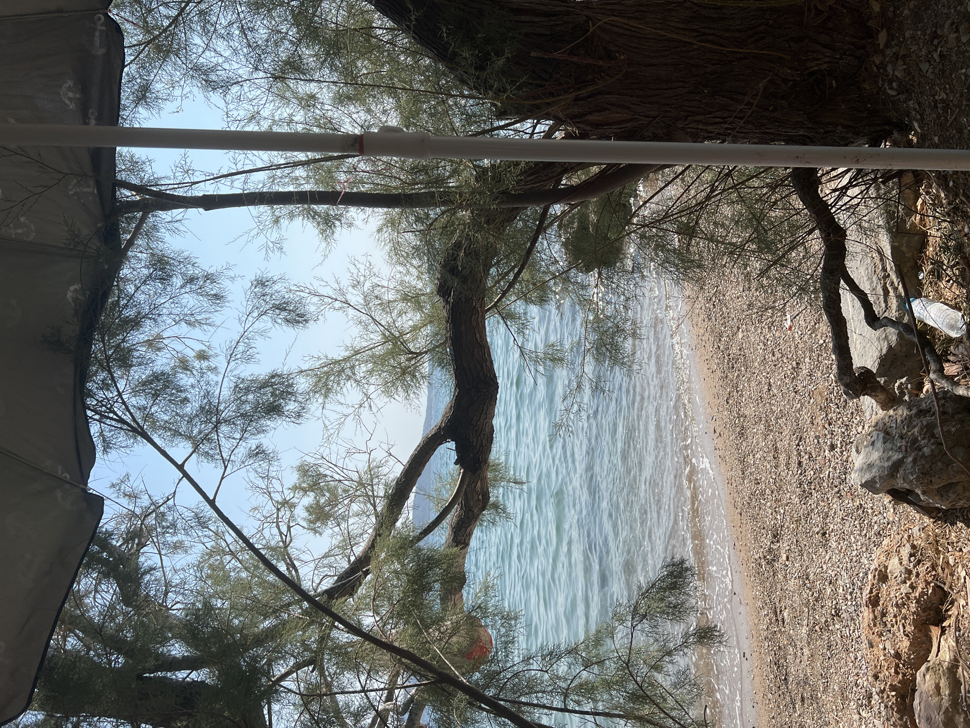 The image depicts a beach scene in Nea Peramos, Greece. In the foreground, there is a rocky and pebbly shoreline, with dry leaves and a plastic water bottle scattered on the ground. A large tree with rough bark is on the right, its branches extending towards the water. A white pole, likely part of a beach umbrella or sunshade, stands vertically in the foreground, partially obscuring the view. The middle ground shows a calm, clear turquoise sea with small waves gently lapping the shore. The water is reflecting the bright blue sky. In the background, landmasses are visible on the horizon under a clear sky. Trees with delicate, feathery foliage frame the view of the sea. The scene appears to be a natural, somewhat wild beach, possibly in a less developed area of Nea Peramos.