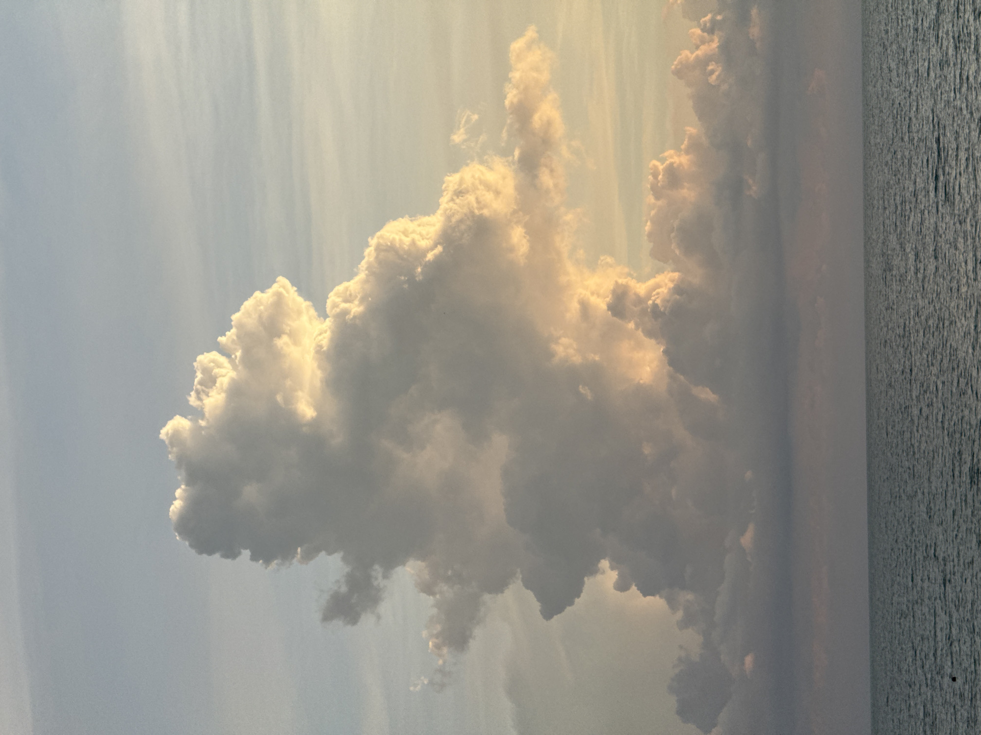 The image depicts a dramatic cloud formation over the Black Sea, near Sochi, Russia. A large, towering cumulonimbus cloud dominates the center of the frame, illuminated by the golden light of either sunrise or sunset. The cloud is a mix of white, grey, and soft yellow hues, with intricate textures and shapes suggesting turbulent atmospheric activity. Below the main cloud, a band of darker, more diffuse clouds stretches across the horizon. The Black Sea occupies the lower third of the image, appearing as a calm, dark expanse of rippling water, reflecting the muted colors of the sky. The overall scene is one of natural grandeur and atmospheric beauty, characteristic of coastal landscapes during transitional light periods. There are no visible people or man-made structures in the image.