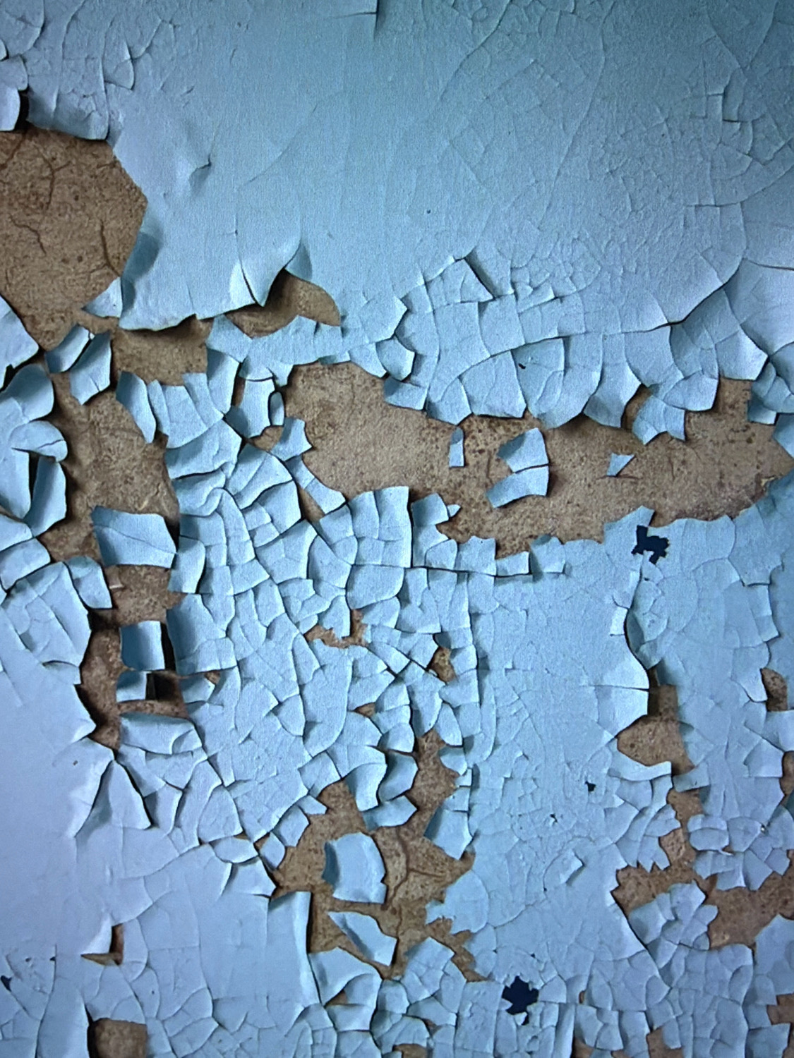 This is a close-up, high-angle shot of a wall with peeling light blue paint. The paint is cracked and flaking, revealing a textured, tan-colored surface underneath. The cracks form irregular geometric patterns across the wall. The image appears to be from an interior, possibly an abandoned building, given the condition of the paint. There are no people or other objects visible in the frame. This image was taken in Kafr Yasif, Israel.