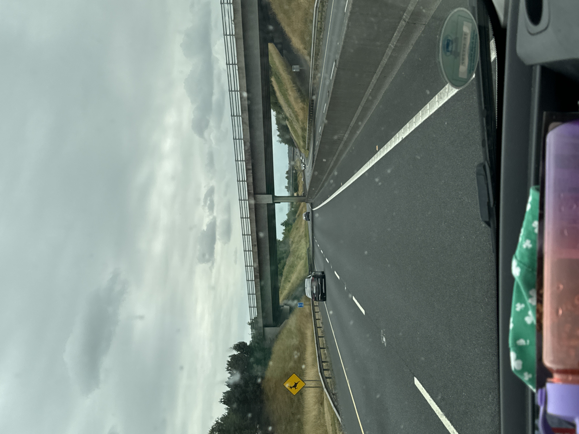 The image captures a view from inside a vehicle driving on a multi-lane highway under an overcast sky. A concrete overpass with railings stretches across the road ahead. To the left of the highway, a yellow diamond-shaped warning sign with a black silhouette of a deer is visible on a post. Beyond the sign, a grassy embankment slopes upwards, dotted with trees. Several cars are driving on the highway, both in the foreground and in the distance. In the foreground, partially visible on the dashboard, are a green cloth with a shamrock pattern and parts of purple and pink objects. The location is identified as Kilgowan Cottages, Ireland.