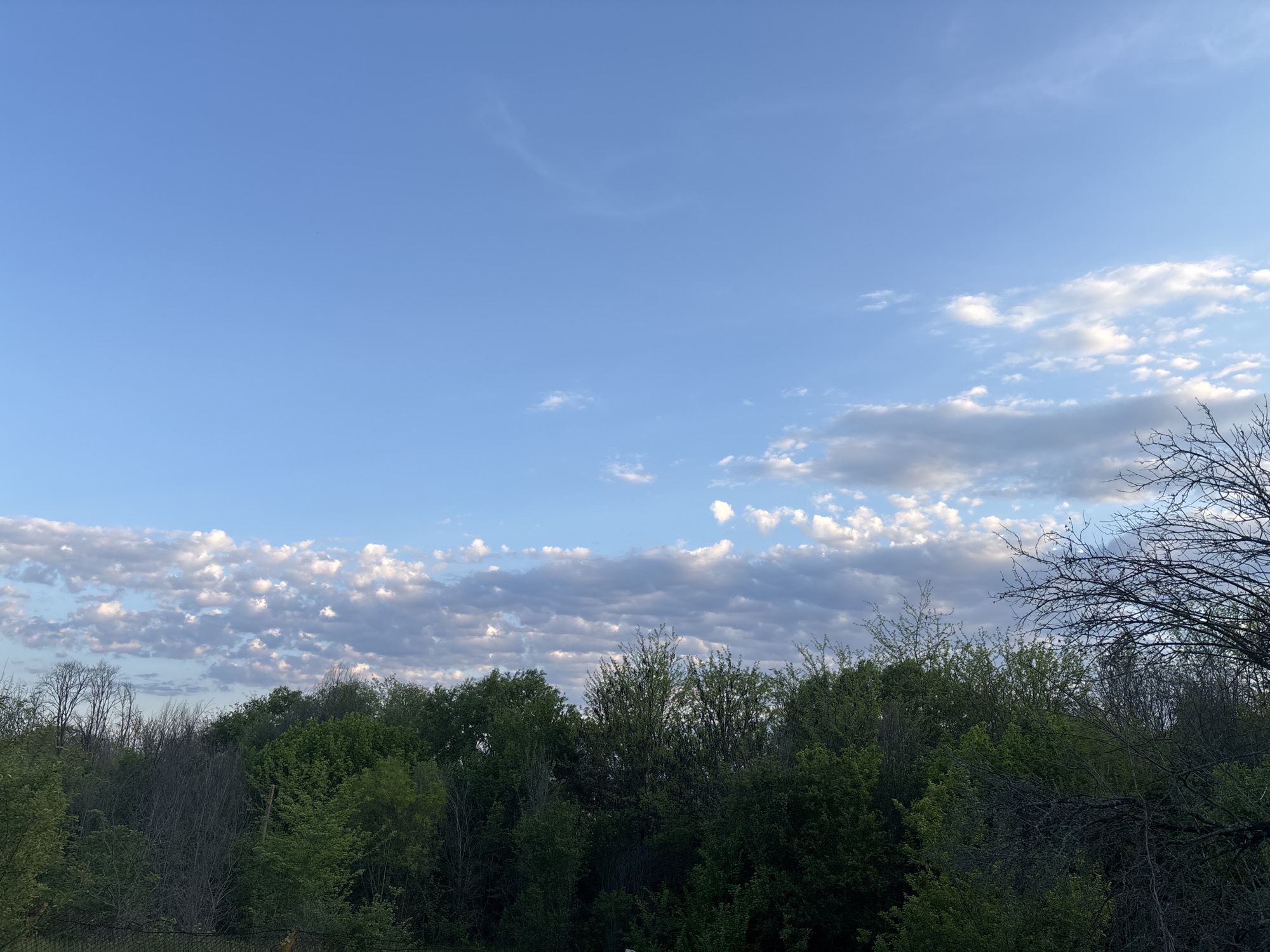 The image depicts a daytime scene in Novo Zhelezare, Bulgaria. A dense forest line occupies the lower third of the frame, featuring a mix of deciduous trees with varying shades of green foliage. Some bare branches are visible, suggesting early spring or late fall. Above the tree line, the sky dominates the upper two-thirds of the image. The sky is a clear, light blue with scattered clouds. The clouds range from small, puffy cumulus clouds on the left to larger, striated formations towards the right. A faint, wispy cloud formation is visible in the upper center of the sky. No people, animals, or buildings are visible. The scene is static and depicts a natural landscape.