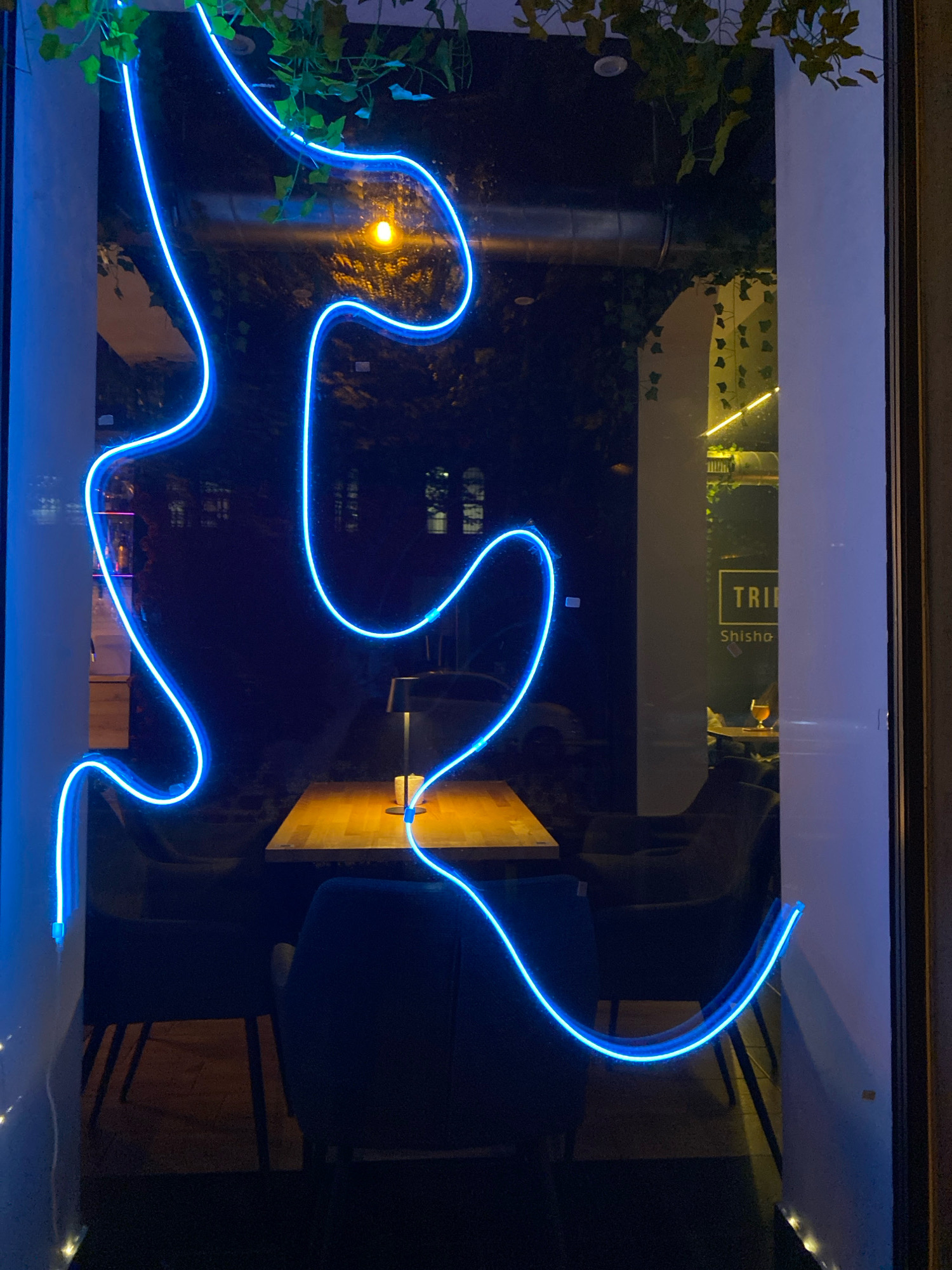 The image shows a street-level view into a dimly lit establishment, possibly a cafe or lounge, through a large glass window. A bright blue neon light, shaped in an abstract, sinuous form, dominates the foreground, casting a vibrant glow. It appears to be a decorative element or signage. Inside, the reflection on the window is strong, obscuring some details. However, a wooden table with a small lamp is visible, suggesting an interior space with seating. In the background, through the glass, a sign with the text "TRI" and "Shisha" is partially visible, indicating that the establishment is likely a shisha bar. Green foliage, possibly artificial plants, is present along the top edge of the window. The overall impression is of an atmospheric, modern venue, likely at night. The specific location in Gliwice, Poland, cannot be determined from the image alone.