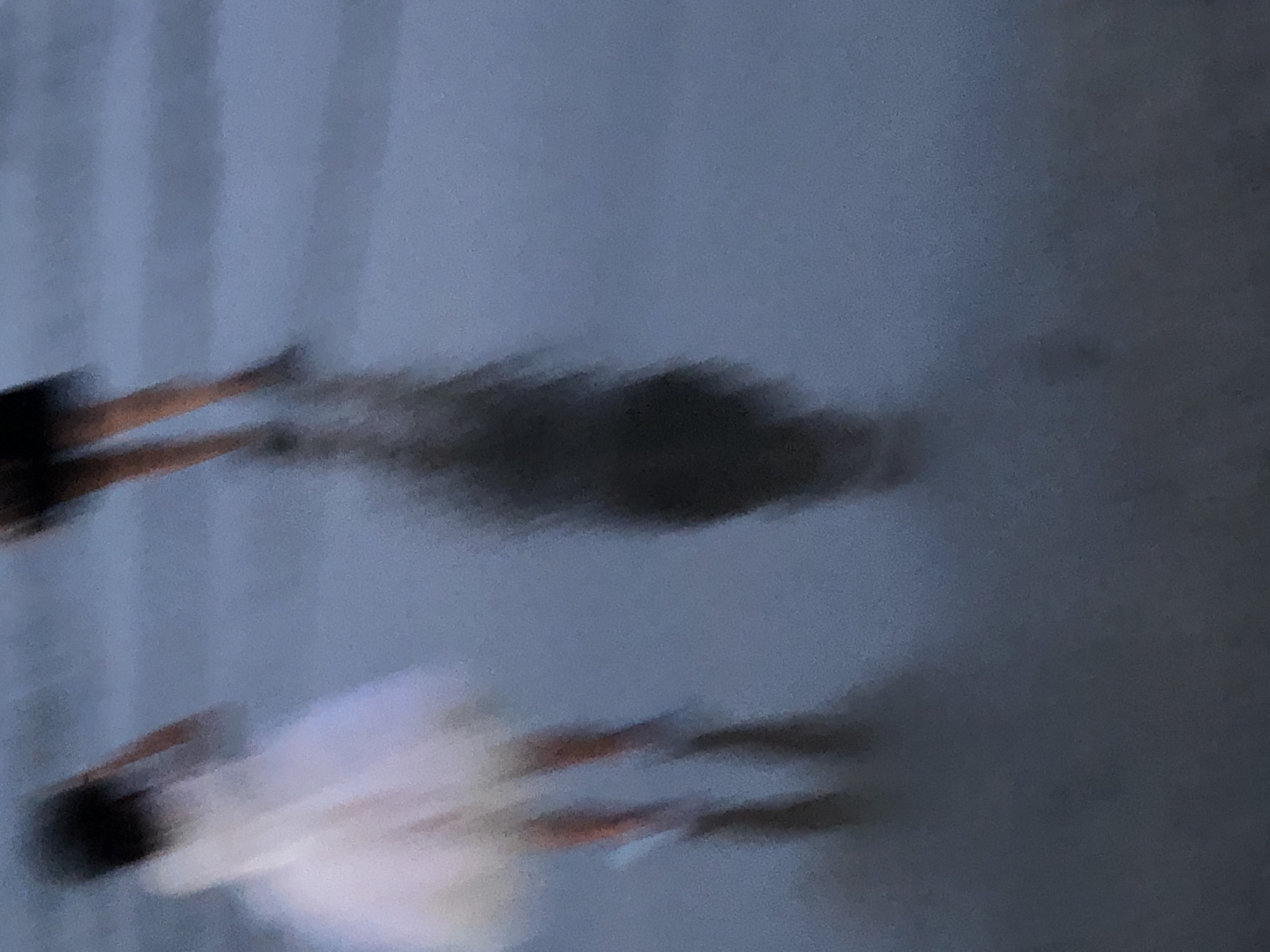 The image depicts a blurred scene of two figures on what appears to be a beach or wet sand area in Đà Nẵng, Vietnam. One figure, on the left, is wearing a light-colored, possibly white, dress or outfit. Their legs are visible, and they appear to be walking. To the right of this figure, a shadow is cast on the wet surface, elongated and indistinct due to the blur. Behind this shadow, another figure is visible, mostly obscured, with dark clothing and legs that are also blurred. The ground is dark and reflective, indicating a wet surface like a beach after waves have receded. The overall impression is one of movement and a soft, diffused light, possibly during dusk or dawn.