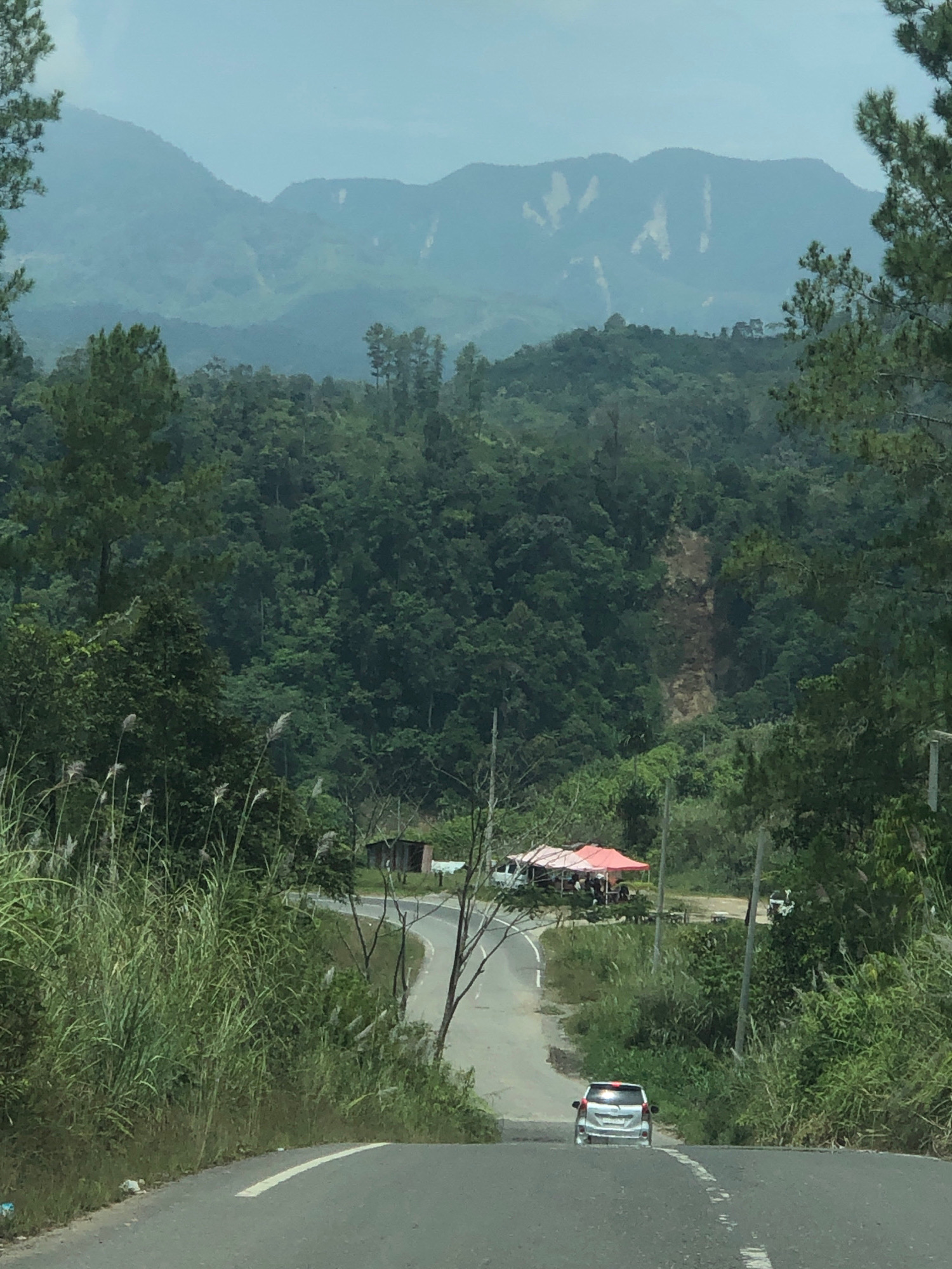The image depicts a scenic view of a hilly landscape, likely in Bintangpermata, Indonesia. In the foreground, a gray car drives up a paved road with a white line marking the center. The road curves to the left. To the left of the road, tall, green grasses and reeds grow densely. On the right side of the road, there is also vegetation and some trees.
In the mid-ground, the road bends further, leading towards a cluster of red tents. Several people are visible under the tents, and a white van is parked nearby. A small, weathered wooden structure stands to the left of the tents. Further into the scene, the landscape transitions into a dense, green forest that covers the rolling hills.
In the background, majestic mountains rise, shrouded in a light haze. The mountain slopes show signs of erosion or landslides, with lighter-colored patches visible against the dark green of the vegetation. The sky above is overcast. The overall impression is one of a rural, natural environment with signs of human activity in the form of a road and roadside stalls.