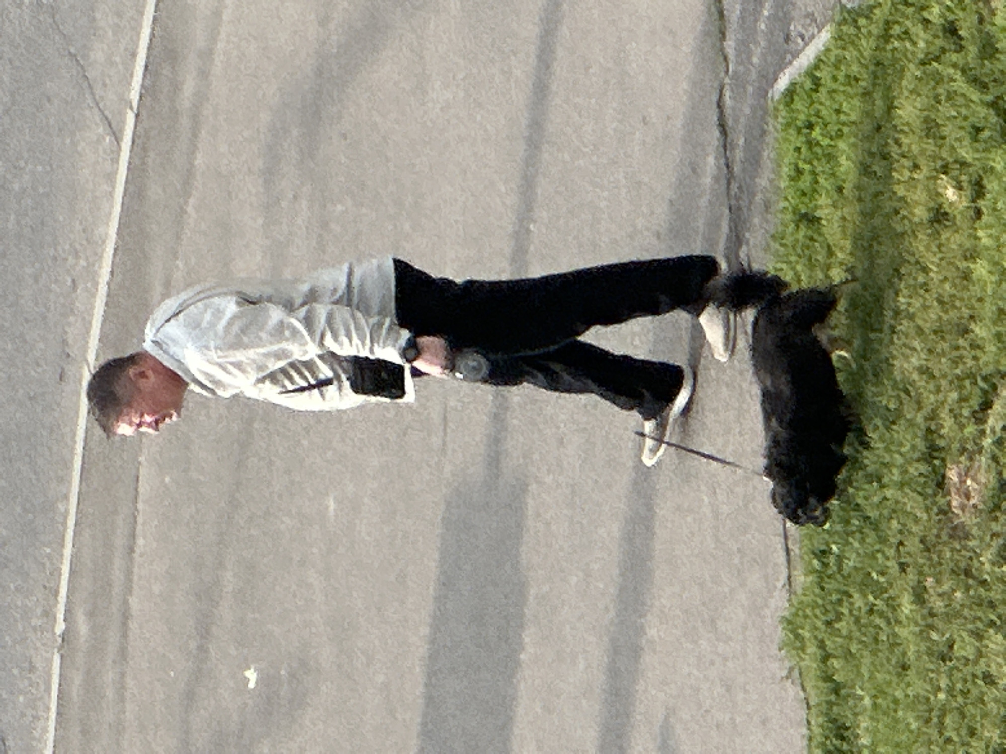An overhead view captures a middle-aged Caucasian man walking a small black dog on a leash. The man, wearing a light-colored hooded sweatshirt and dark pants, walks on a paved surface that appears to be a sidewalk or street. He has a dark bag slung across his body. The dog is on a grassy area adjacent to the paved surface. The scene takes place outdoors on what appears to be a sunny day. There are no other individuals or vehicles visible in the frame. The environment is consistent with an urban setting, specifically Podolsk, Russia, characterized by asphalt pavement and green grass.