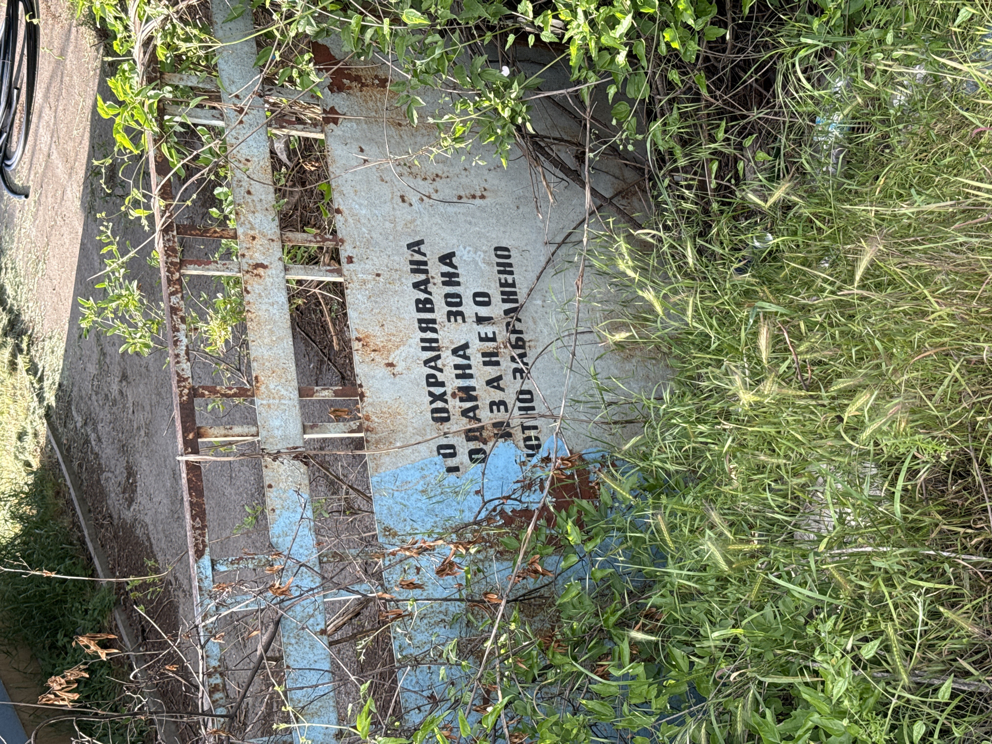 The image depicts a neglected, rusting metal gate or barrier overgrown with vegetation. The gate is painted with alternating light blue and white horizontal stripes and a sign written in Cyrillic script. The text on the sign reads: "ЗОНА ОХРАНЯВАНА / ДАЙНА ЗОНА / ЗА ЗАБРАНЕНО", indicating a restricted or protected area. The gate is partially obscured by various types of plants and grasses, suggesting a lack of maintenance and abandonment. The setting appears to be outdoors, possibly on the outskirts of an urban area, with a concrete or paved surface visible near the gate. The presence of the Cyrillic sign points to the location being in a region where this alphabet is used, such as Bulgaria. Given the request specifies Sofia, Bulgaria, it can be inferred that the image was taken in or near that city.