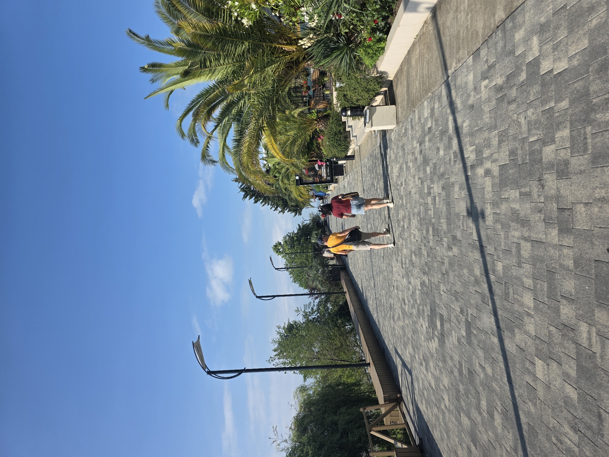 Two individuals walk along a paved promenade. The person in front wears a maroon t-shirt and denim shorts, while the person behind them wears a yellow t-shirt and light-colored shorts. Both are walking away from the camera. The promenade is paved with grey interlocking stones. On the left side of the promenade, there is a wooden railing and lush green trees. Several modern streetlights with curved poles are spaced along the promenade. On the right side, there are palm trees, other greenery, and what appears to be outdoor seating area for a cafe or restaurant. The sky is clear and blue with a few scattered white clouds. The scene is set outdoors on a sunny day. This promenade is located along the coastline of Sochi, Russia.