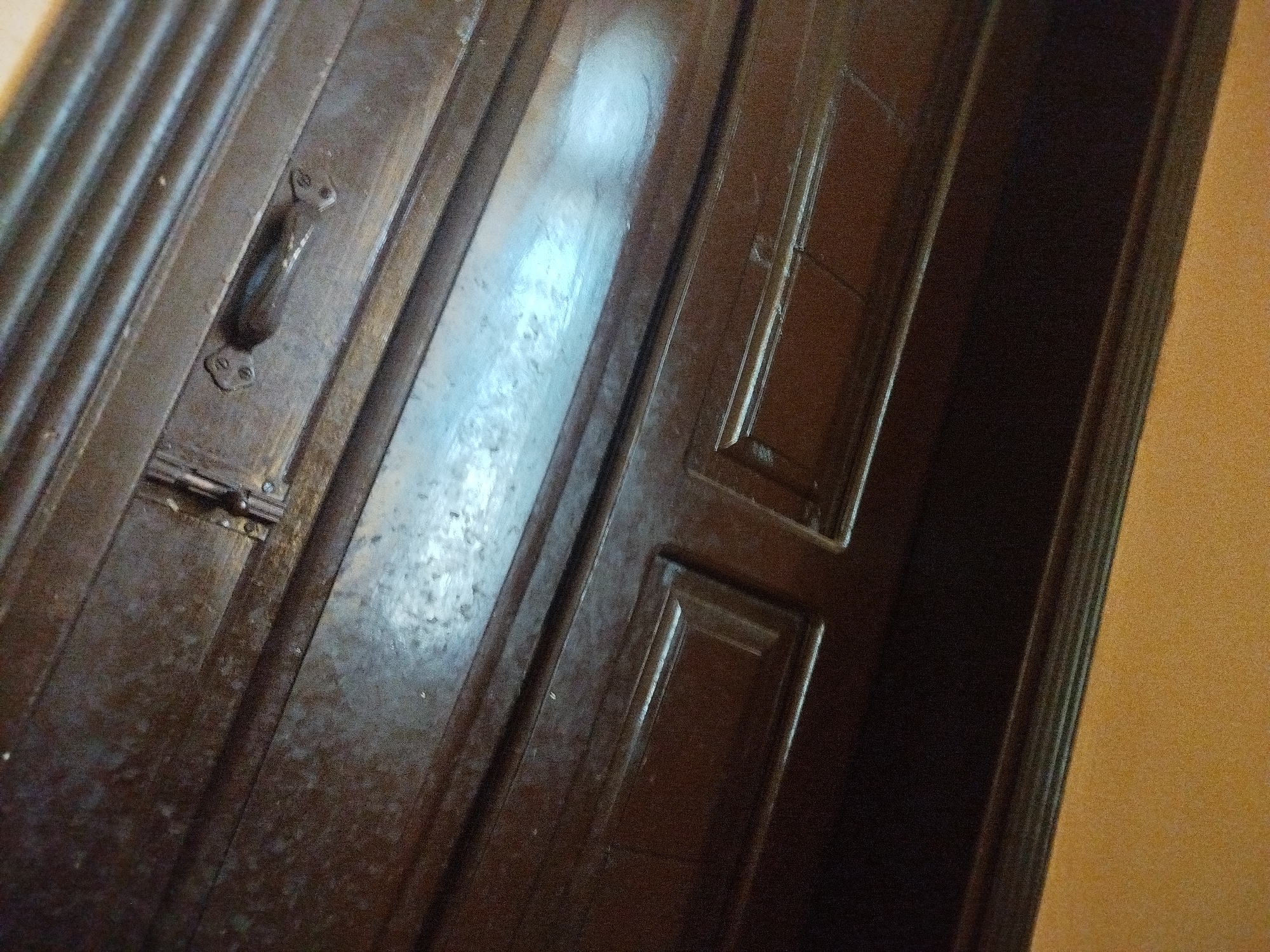 The image shows a close-up, oblique view of a dark wooden door with a ribbed texture on the left side. A dark metal handle is attached to the door with two screws. To the right of the handle, the door is divided into panels with raised borders. The surface of the door appears worn and has a somewhat mottled texture, possibly due to age or finishing. The background to the right is a textured orange wall. The scene is indoors. This specific image does not provide any information about the city of Lassan, Pakistan.