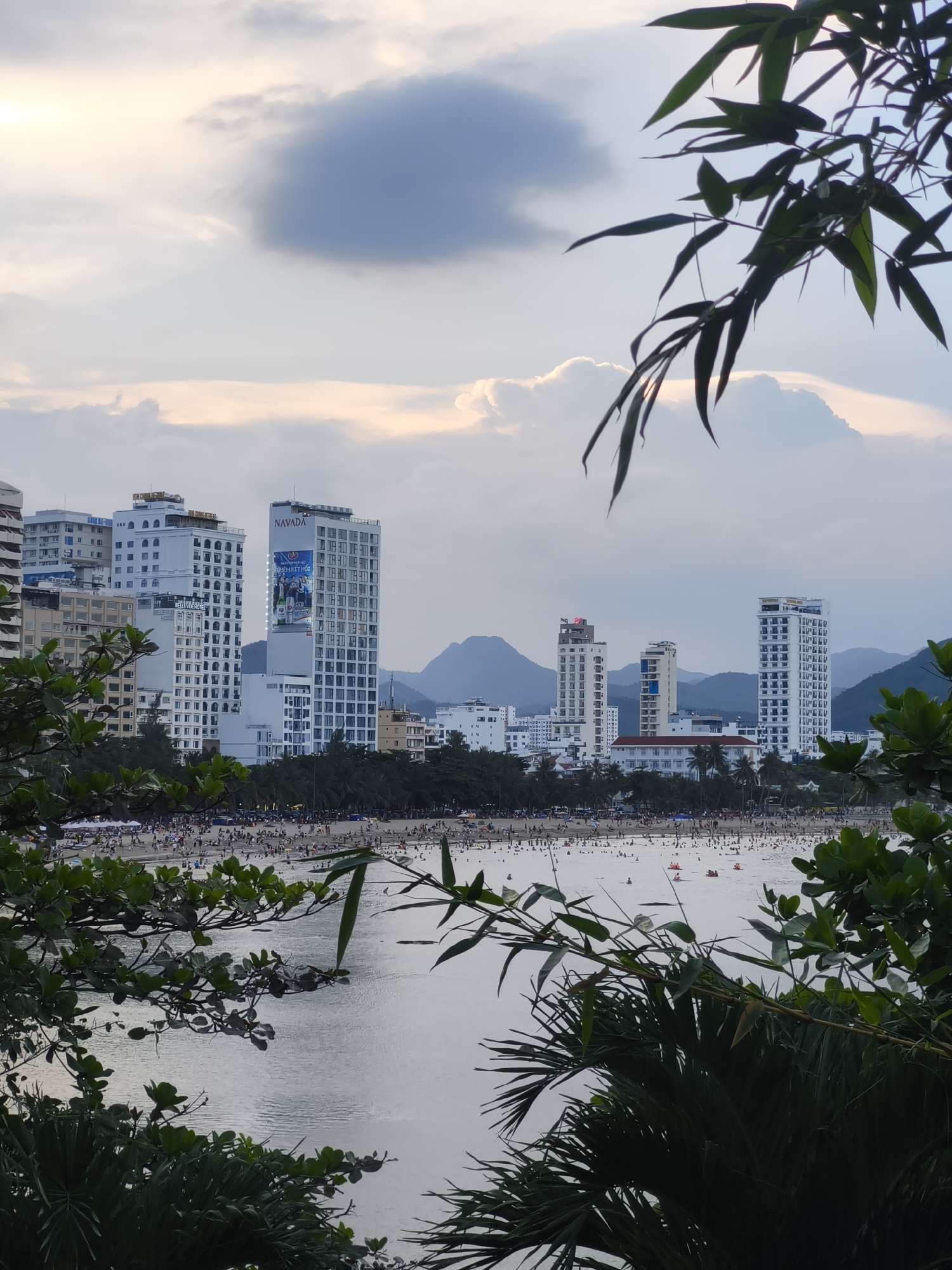 This is an outdoor, eye-level, vertical medium shot of a crowded beach in Nha Trang, Vietnam, seen through foliage. The time of day is likely late afternoon or early evening, as indicated by the soft, diffused light and the colors in the sky.
In the foreground, several branches of green leaves and bamboo are visible, framing the scene. The leaves in the upper right are bamboo, and appear to be closer to the camera than the other foliage. The foliage in the lower left are broadleaf.
The middle ground is dominated by a wide expanse of ocean, with gentle waves reflecting the sky. Numerous small boats and possibly buoys are scattered across the water.
Beyond the water, a densely populated beach stretches across the frame. Thousands of people, appearing as small dots from this distance, are engaged in various activities such as sunbathing, walking, and swimming.
The background features a coastal city skyline with several tall, modern buildings. The most prominent buildings are white, high-rise structures, some featuring advertisements and signage. Behind the city, a range of hazy, green mountains forms the distant backdrop. The sky is partially cloudy, with soft hues of pink and orange suggesting the setting sun. One large, dark gray cloud is visible in the upper left quadrant of the sky.
The overall impression is a lively and bustling scene, capturing the essence of a popular beachfront destination.
