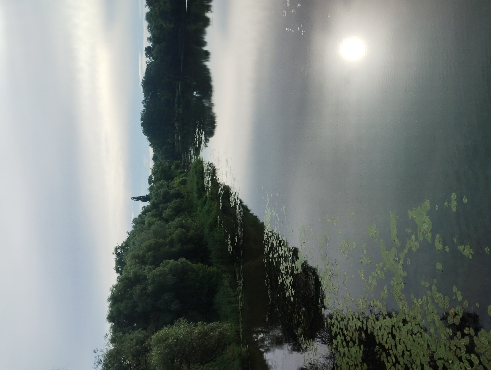 The image depicts a wide, calm river with trees lining its banks. The sky is overcast with a bright, hazy sun reflected on the water's surface. Lily pads are scattered across the left side of the river. The scene is likely a park or natural area within the city of Sumy, Ukraine, possibly along the Psel River. There are no people visible in the image, and the environment appears serene and natural.