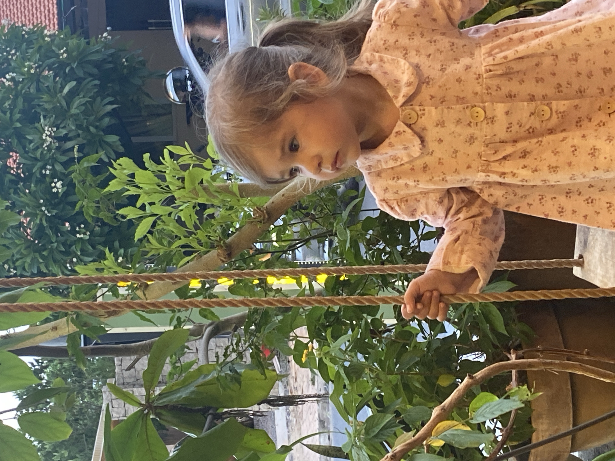 A young girl in a light pink, long-sleeved floral shirt holds onto two ropes. The backdrop includes lush greenery with various plants and trees. In the background, there is what appears to be a building and possibly a parked vehicle. The scene is located in Phu Thuy Ward, Vietnam.
