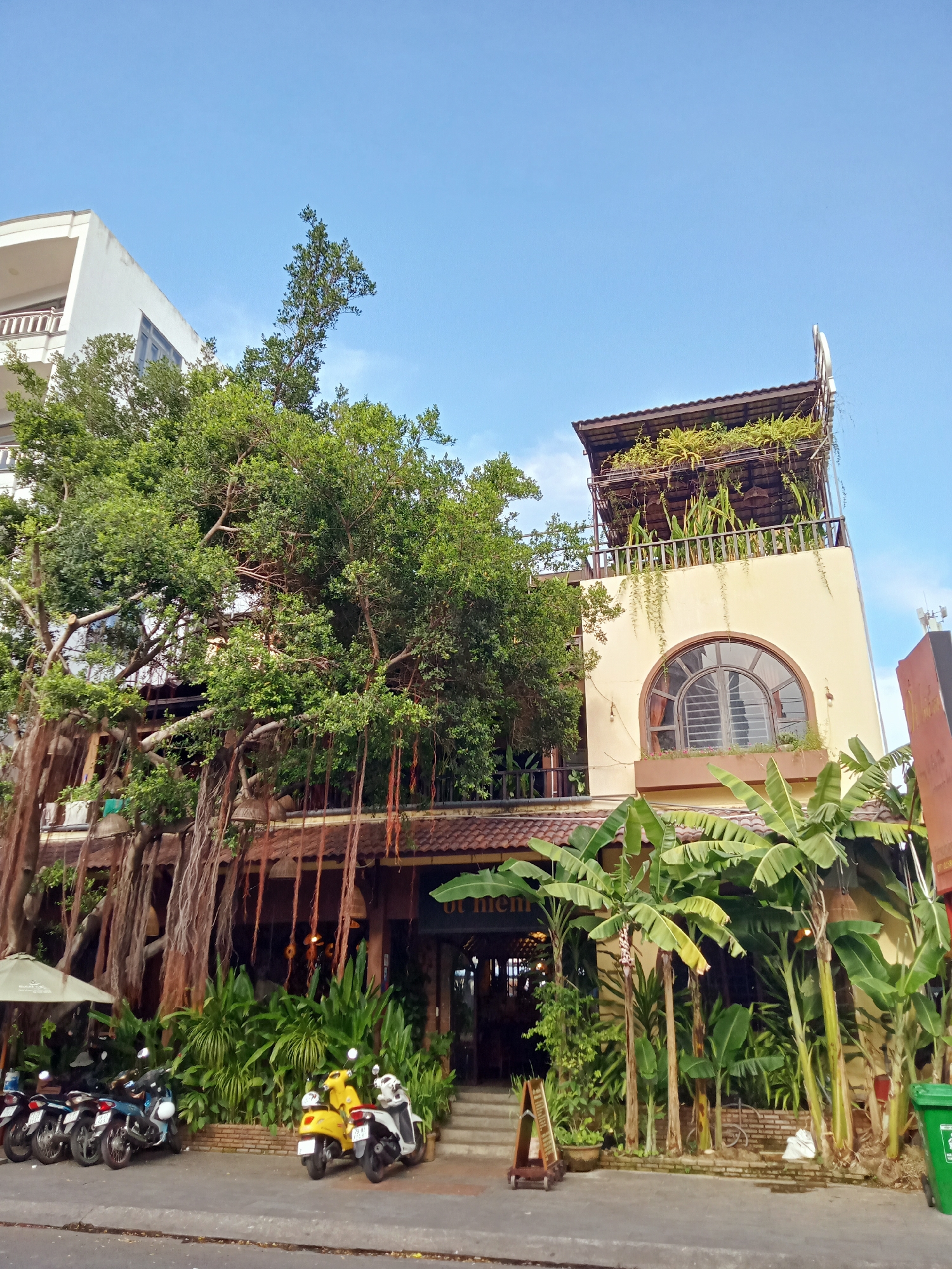 The image depicts a street scene in Nha Trang Ward, Vietnam, featuring a building heavily integrated with vegetation. On the left, a large banyan tree with extensive aerial roots dominates the foreground, partially obscuring the building's facade. Parked in front are several motorcycles, including a yellow scooter. The building itself is a two-story structure with a tiled roof. The upper story features a large arched window and a rooftop terrace with plants. Banana trees are planted along the right side of the building. A green recycling bin is also visible on the right edge of the frame. The sky is blue and mostly clear.