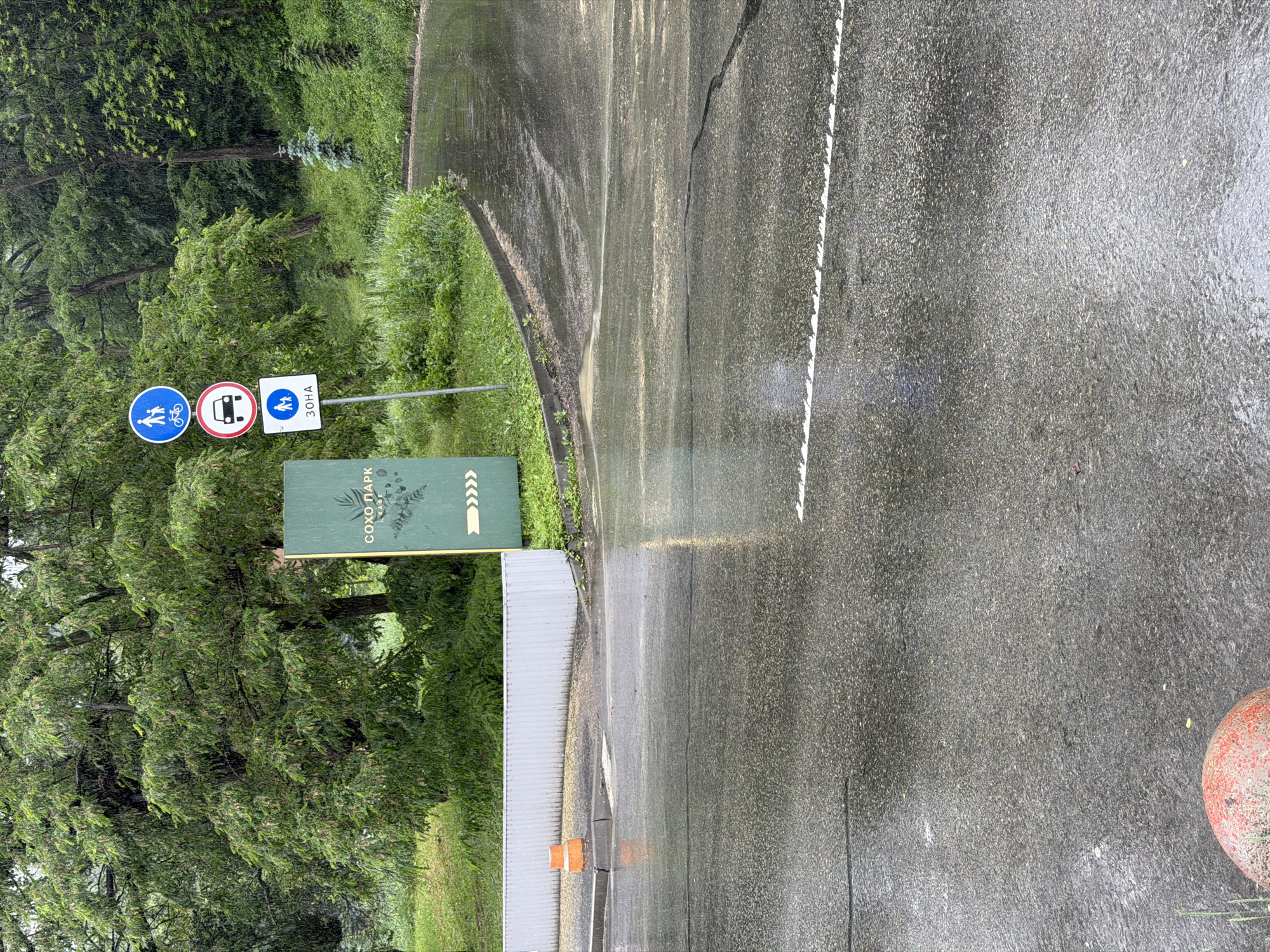 The image depicts a wet asphalt road in Kyiv, Ukraine, during rainfall. A green signpost stands to the left, featuring Cyrillic text that reads "СОХО ПАРК" and an illustration of plants. Above the signpost, three circular traffic signs are visible: one depicting a pedestrian and a bicycle, another showing a car, and a third indicating a zone with a pedestrian symbol and the text "ЗОНА". The road surface is reflective due to the rain, with visible water puddles and streaks. A light gray corrugated metal fence runs along the left side of the road, and an orange traffic cone is positioned near the curb. Lush green trees and foliage form the background, with a pathway branching off into the distance. The overall scene suggests a park entrance or a road within a green area experiencing inclement weather.