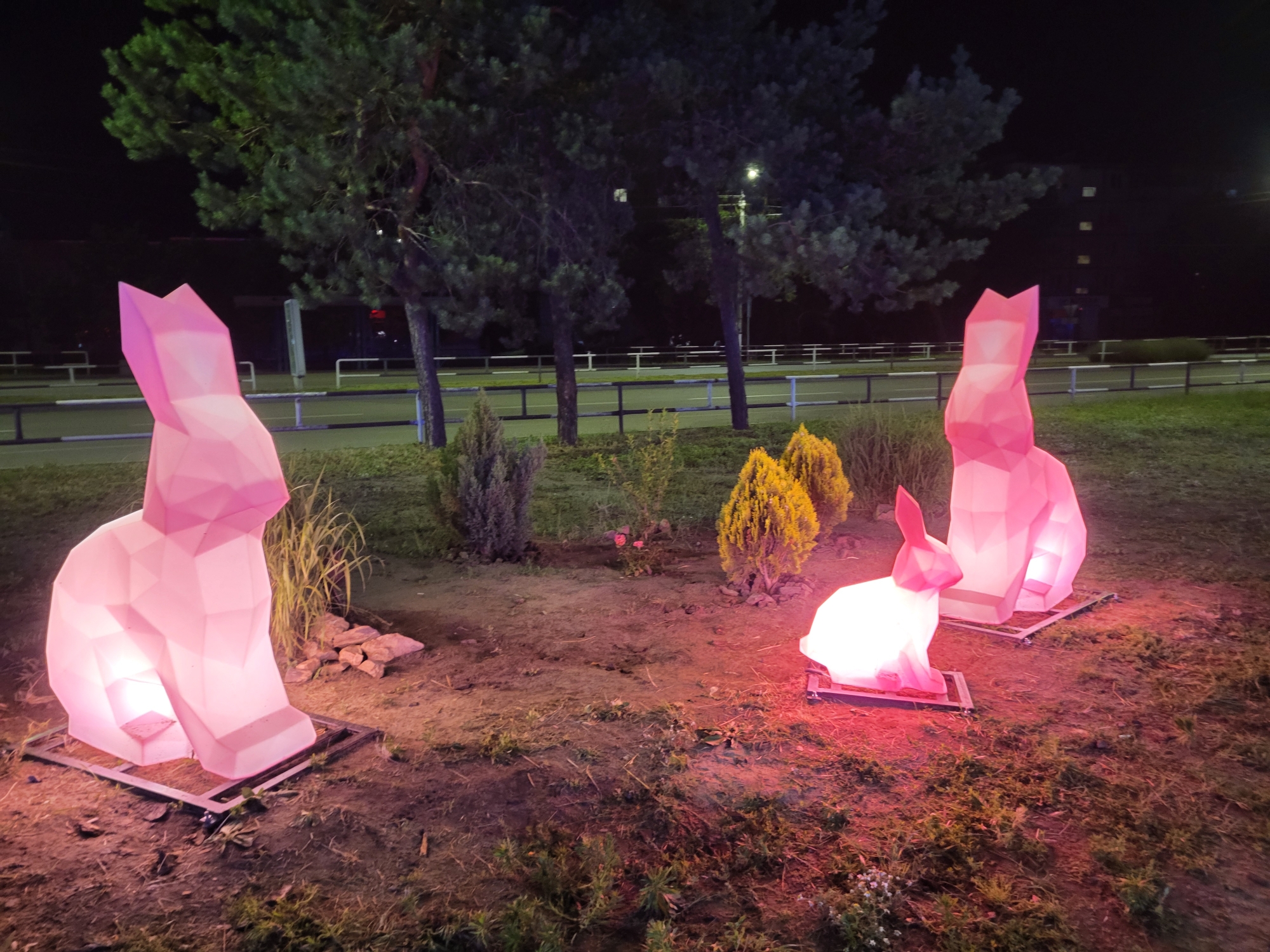 In Horishni Plavni, Ukraine, three large, illuminated pink rabbit sculptures are displayed outdoors at night. The sculptures are geometric in design, appearing to be made of a translucent material. The largest sculpture, positioned on the left, is a seated rabbit. To its right, a slightly smaller, upright rabbit sculpture stands, followed by a smaller, seated rabbit sculpture illuminated with red light in the foreground. The sculptures are set in a grassy area with some scattered rocks and small bushes. In the background, several tall pine trees are visible, and beyond them, a street with a white barrier and fencing can be seen, with a multi-story building in the distance. The scene is illuminated by artificial lighting, with the pink and red glow of the rabbit sculptures being the primary light source.