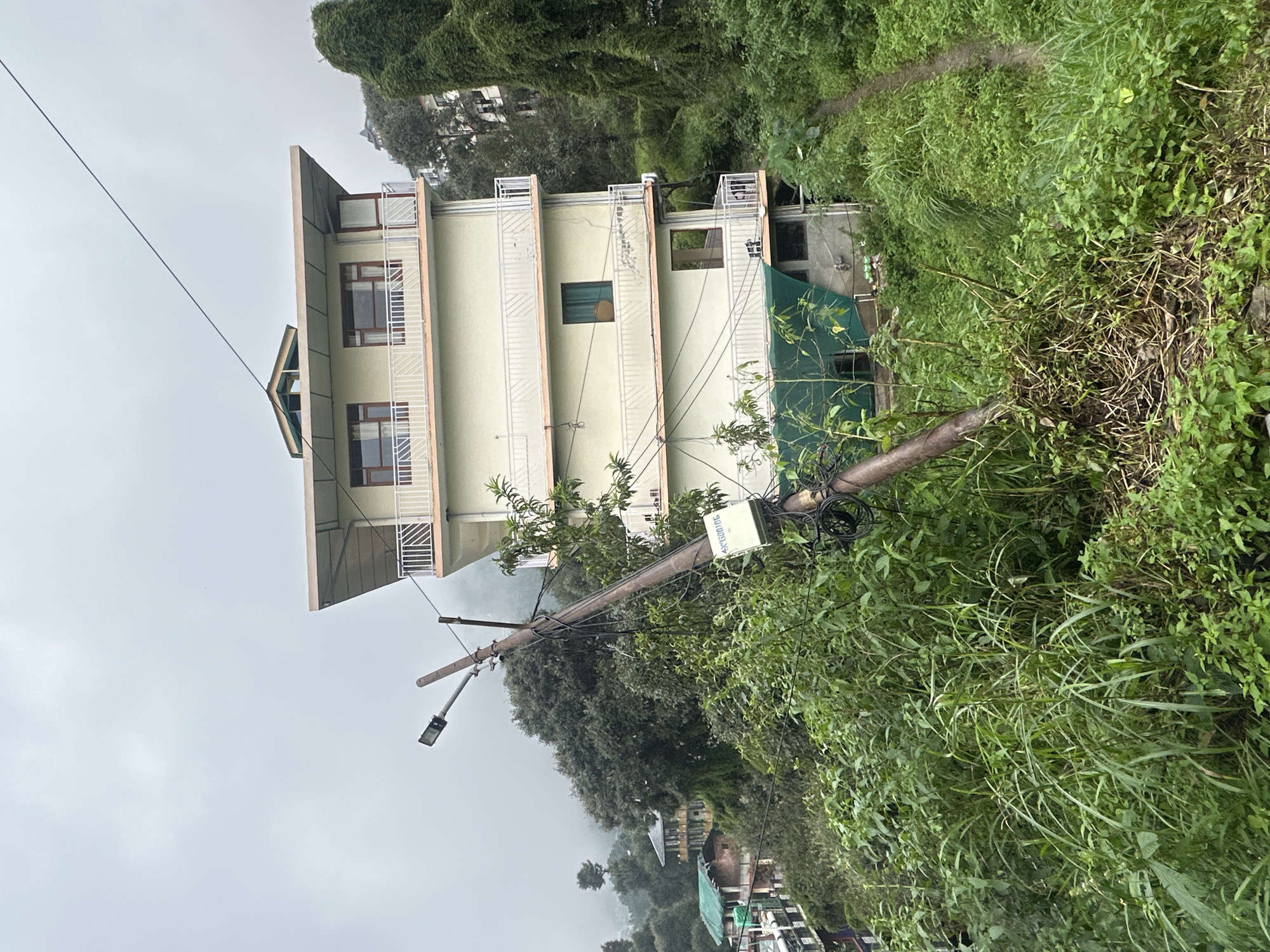 This is a photograph taken in Haini, India, on a cloudy day. The scene features a multi-story building, possibly a hotel or residential complex, situated on a hillside. The building is painted a light yellow or cream color and has balconies with white railings on each floor. In the foreground, a leaning utility pole with a street lamp and numerous wires is prominent. A small white electrical box is attached to the pole. Lush green vegetation, including tall grasses and trees, surrounds the pole and extends up the hillside towards the building. In the background, other buildings and dense foliage are visible, suggesting a hilly or mountainous urban environment. A narrow, winding path is visible on the right side of the image, disappearing into the greenery. The overall impression is one of a somewhat overgrown and humid environment.