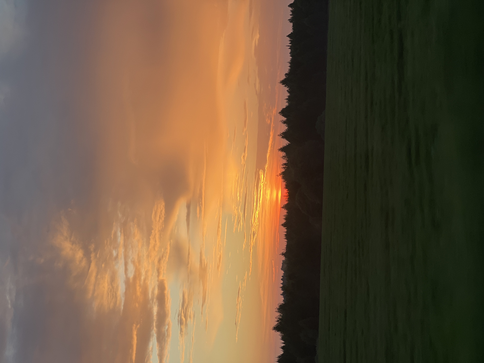 An outdoor, horizontal, full shot captures a sunset over a rural landscape. The sky is a vibrant gradient of orange and purple hues, with wispy clouds scattered across the upper portion of the frame. The sun is low on the horizon, casting a warm glow. In the mid-ground, a dense line of dark green trees forms a silhouetted border against the sky. The foreground features a vast, dark green field that appears to be covered in grass. The scene is devoid of any human presence or man-made structures, suggesting a natural and serene environment. The location is identified as Поварёнки, Russia.