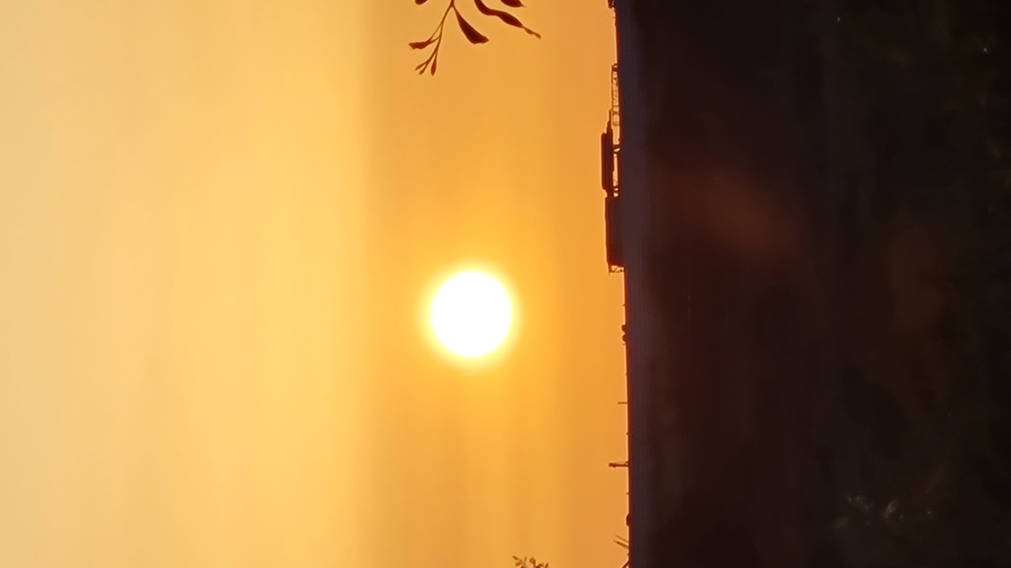 The image shows a bright sun in a hazy, orange sky. The sun appears to be low in the sky, possibly during sunrise or sunset. The horizon is obscured by the haze. There is a dark, vertical object silhouetted against the bright sky, possibly a building or structure. Some leaves are visible in the top part of the frame. The location is assumed to be in or near Lachish Regional Council, Israel.