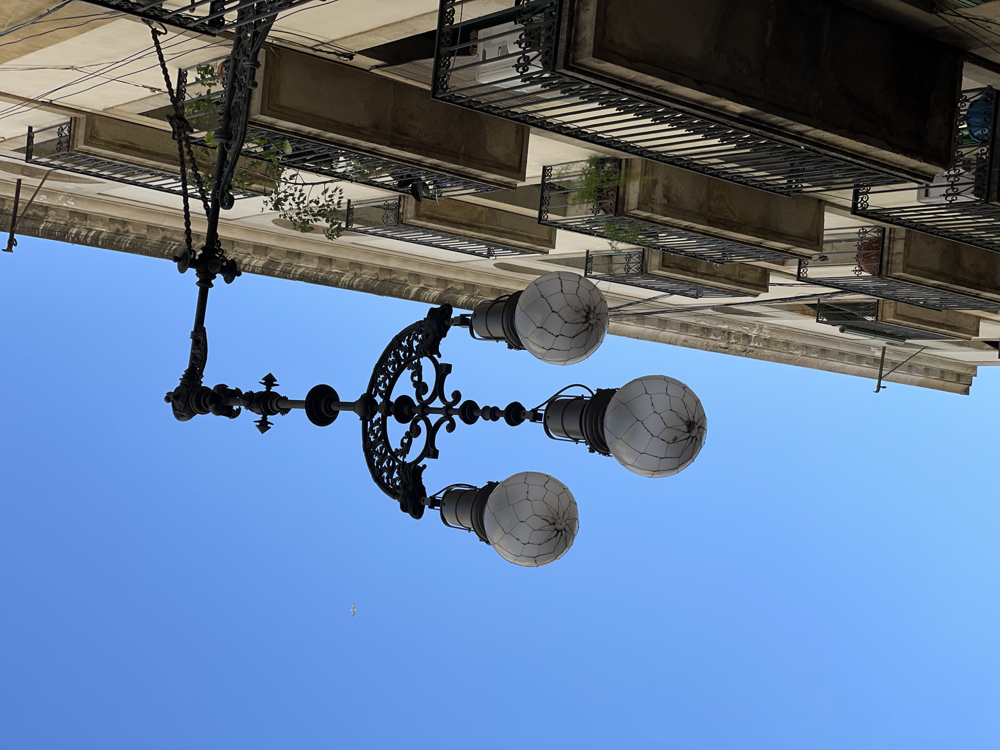 The image captures an upward view of a city street, likely in Barcelona, Spain, under a clear blue sky. Dominating the left side and foreground is a large, elaborate black metal streetlamp. Its ornate design features intricate wrought-iron scrollwork and branches that support three spherical light globes. Each globe is made of translucent material and exhibits a distinct, spiderweb-like pattern of cracks across its surface.
Above and to the right, several stories of buildings are visible, characterized by their classic architectural style. These buildings feature multiple balconies, each adorned with decorative black wrought-iron railings. Some balconies show small green plants, adding a touch of natural life. The facades appear to be of a light-colored stone or stucco.
The background is a brilliant, clear blue sky, indicating a bright and sunny daytime. A small, white bird can be seen in flight in the upper right portion of the sky, near the lamp. There is no visible text, and no specific human activity is depicted, presenting a still urban scene. The overall impression is one of historical architecture juxtaposed against a modern clear sky.