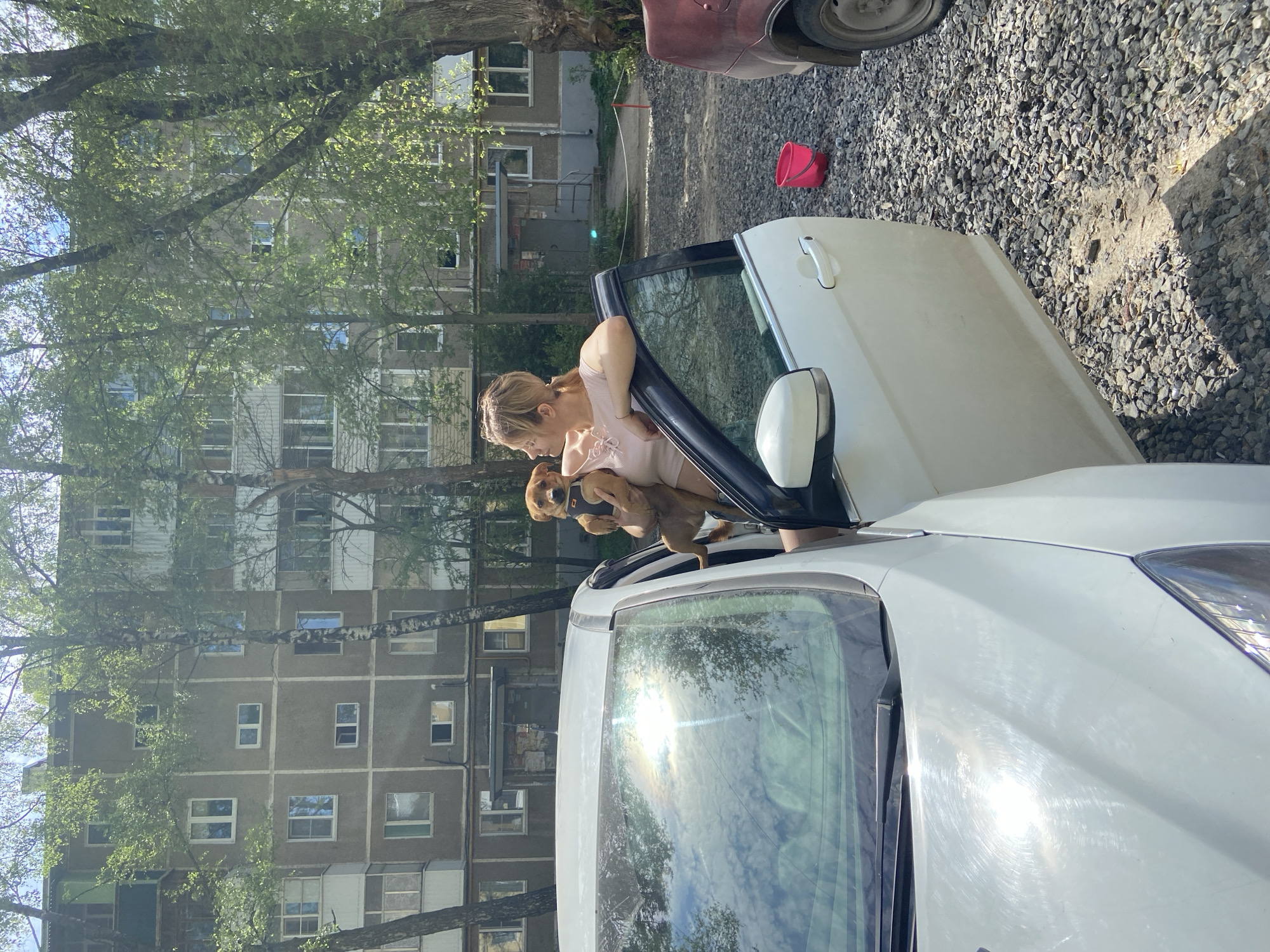 A sunny day in Ryazan, Russia shows a woman holding a brown dog in front of an open white car door. The woman has blonde hair and is wearing a pink tank top. The dog is wearing a black harness. The car is parked on a gravel surface. Behind the car is a multi-story residential building. A red bucket is on the ground near the car. A portion of a maroon vehicle is also visible.