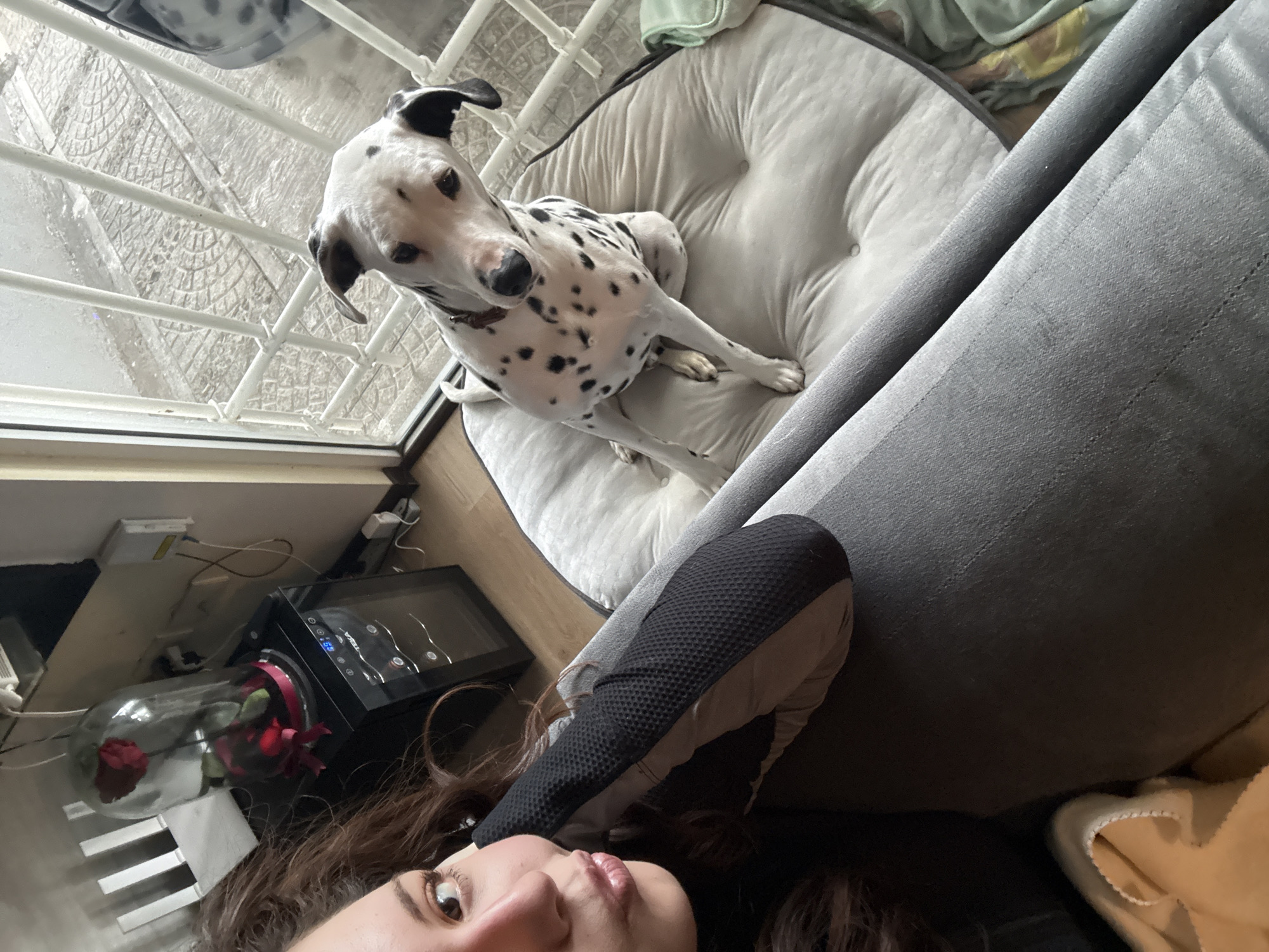 A Dalmatian dog sits on a dog bed next to a gray sofa. A woman is lying on the sofa, taking a selfie. A glass-encased rose sits on a table next to the woman. A window with a white metal gate is visible. The location is Puebla, Mexico.