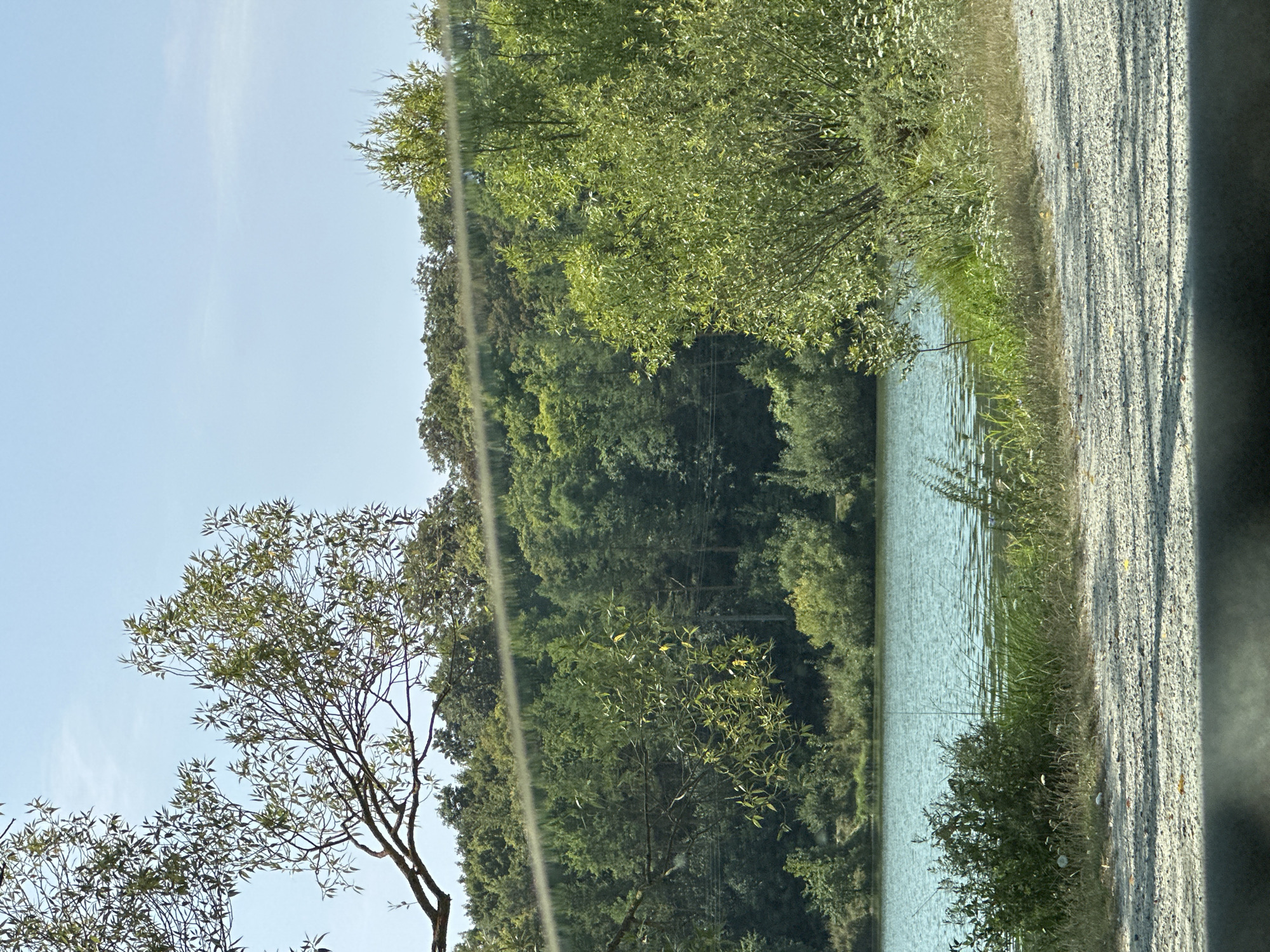 The image depicts a tranquil natural scene with a body of water in Makiv, Ukraine. The water, a serene blue-green, occupies the middle ground of the image, its surface rippled by a gentle breeze. Along the far bank of the water, a dense forest of lush green trees stretches across the horizon, their leaves a vibrant tapestry of summer foliage. The sky above is a clear, pale blue, with a few wispy clouds adding a touch of softness.
In the foreground, a gravel path leads the eye into the scene, its rough texture contrasting with the smoothness of the water. To the left of the path, a cluster of dense green bushes and tall grasses create a natural embankment, dotted with delicate white wildflowers. To the right, a large, leafy tree with bright green foliage dominates the foreground, its branches reaching out towards the water. The overall impression is one of peaceful seclusion and natural beauty.