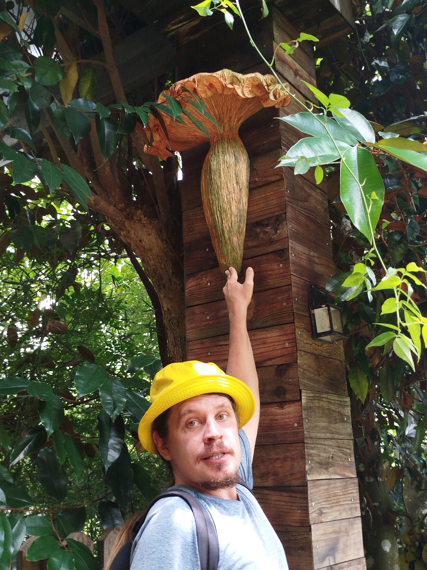 A man wearing a yellow hat and a light blue t-shirt, with a backpack on, is captured from the chest up, looking towards the camera and smiling slightly. His right arm is extended upwards, touching a large, decorative mushroom-shaped object. The mushroom has a textured, golden-orange cap with ruffled edges and a slender, green-brown stem. This sculpture is mounted on a weathered wooden post, which has a small, black outdoor lantern attached to it. The scene is set outdoors, surrounded by lush green foliage and tree branches. The man's skin tone suggests he is of European descent, and his hair is medium brown. The lighting indicates it is daytime, with sunlight filtering through the leaves. The image appears to be taken in a garden or park setting. Based on the context provided about Dalat, Vietnam, this could be a decorative element in a park, a garden, or a unique roadside attraction.