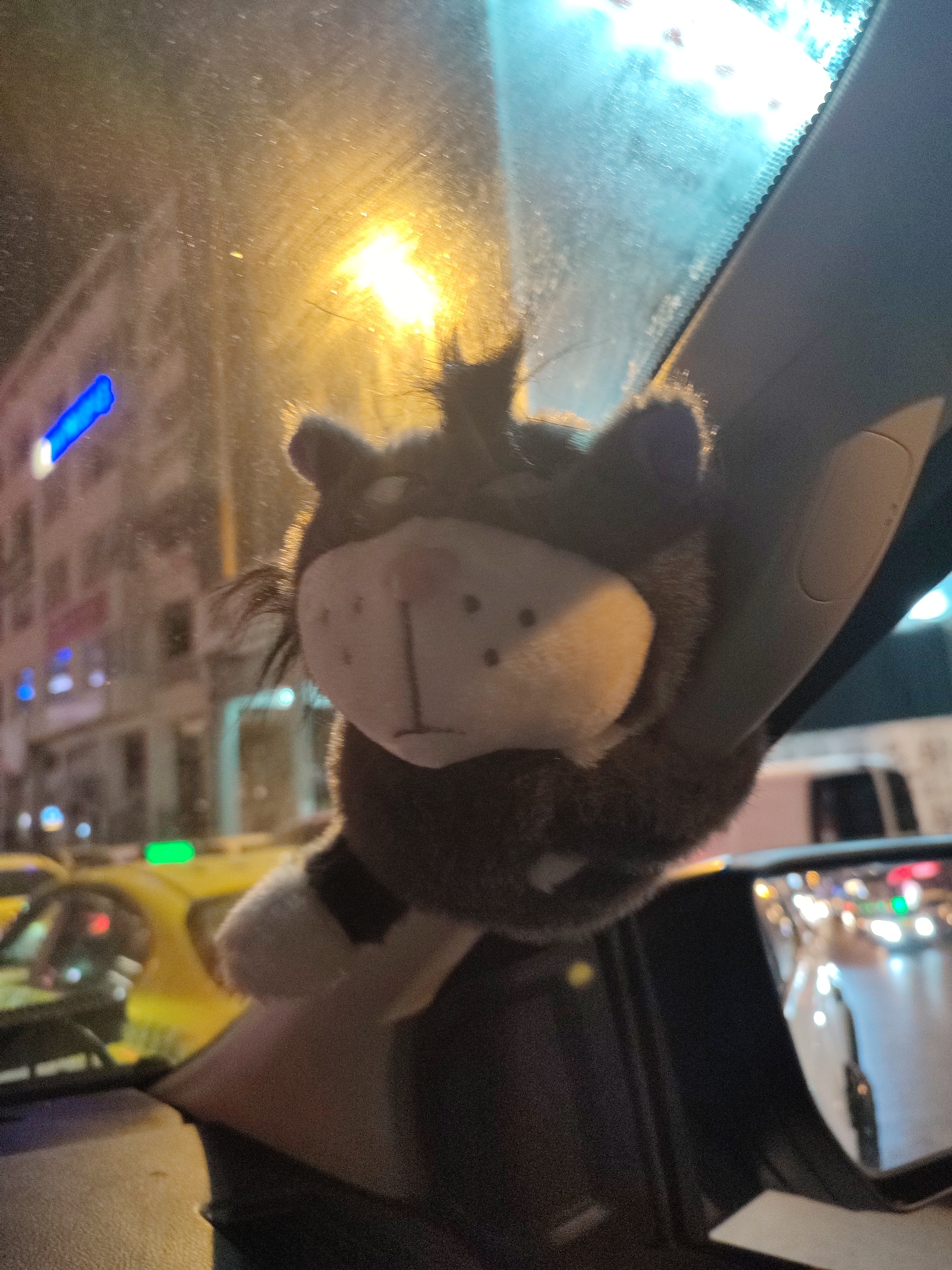 A fuzzy, dark brown and white plush toy cat with a light-colored face and dark dots for eyes and nose is hanging from the interior of a vehicle. The cat is positioned in the foreground, obscuring much of the view. Through the windshield, a city street scene at night is visible. Yellow taxis and other vehicles with illuminated headlights and taillights are present. Buildings with illuminated windows line the street. The overall lighting is dim, with bright streetlights casting a warm glow and headlights creating streaks of light. The image appears to be taken from inside the vehicle, looking outwards. The location is identified as Kadıköy, Turkey.