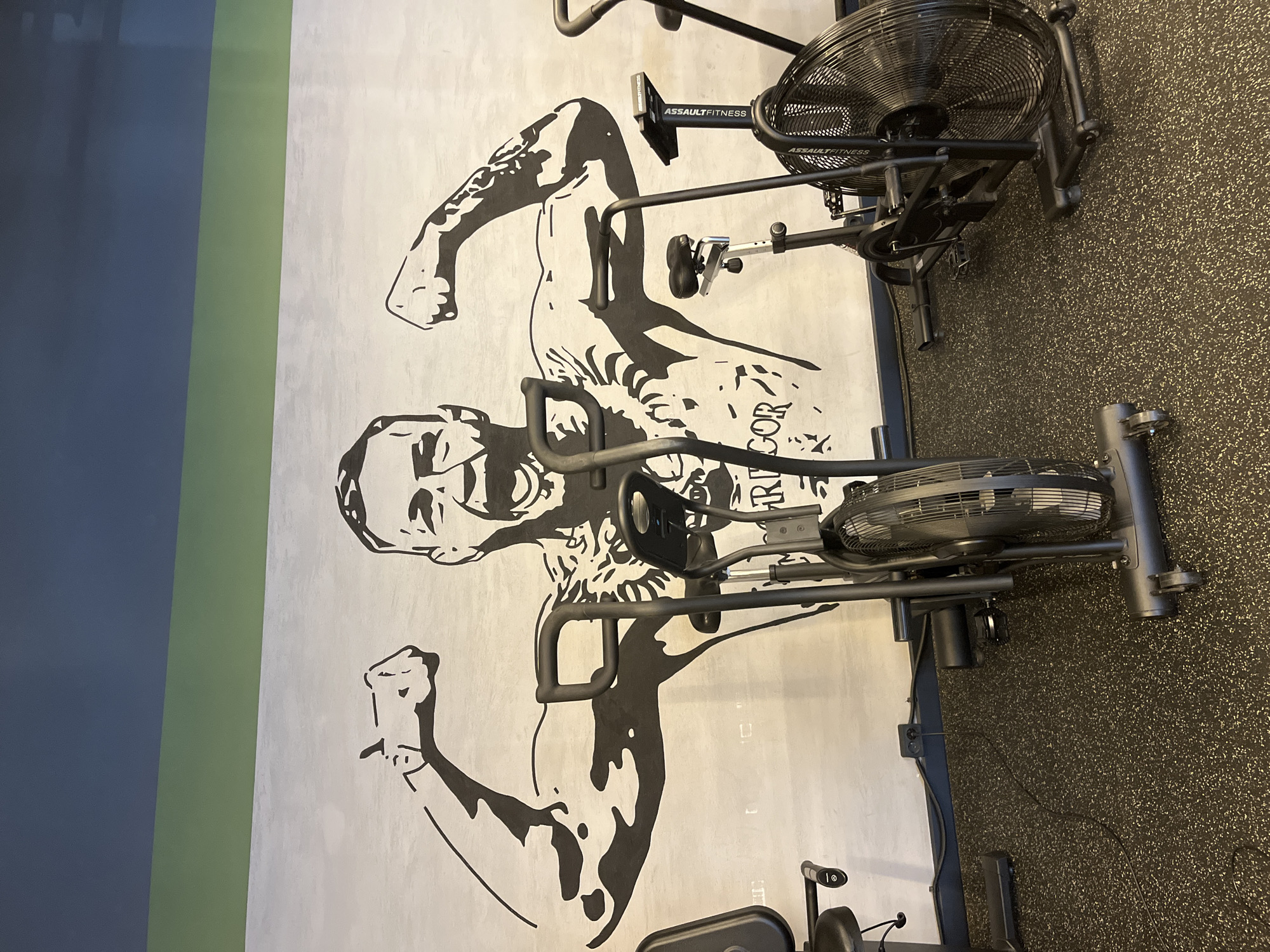 This image, reportedly captured in Sochi, Russia, depicts an indoor gym setting. The central feature is a large, monochromatic mural on a light grey wall, illustrating a man, identifiable as Conor McGregor, from the torso up. He is shown with both arms flexed, bicep muscles prominent, and an open-mouthed, shouting expression. The mural includes details of his characteristic tattoos on his chest and arms, with the name "GREGOR" partially visible on his chest. Above the mural, the wall features a horizontal stripe of light green, topped by a wider horizontal stripe of dark blue or navy. In the foreground and midground, several black exercise bikes are present. The most prominent are two air bikes with large front fans, one centrally located and another to the right, branded "ASSAULT FITNESS." A third exercise bike, partially visible on the far left, appears to be a different type of stationary bike. The floor is covered with a dark, speckled rubber gym matting. Electrical outlets and power cables are visible along the base of the wall, behind the exercise equipment.