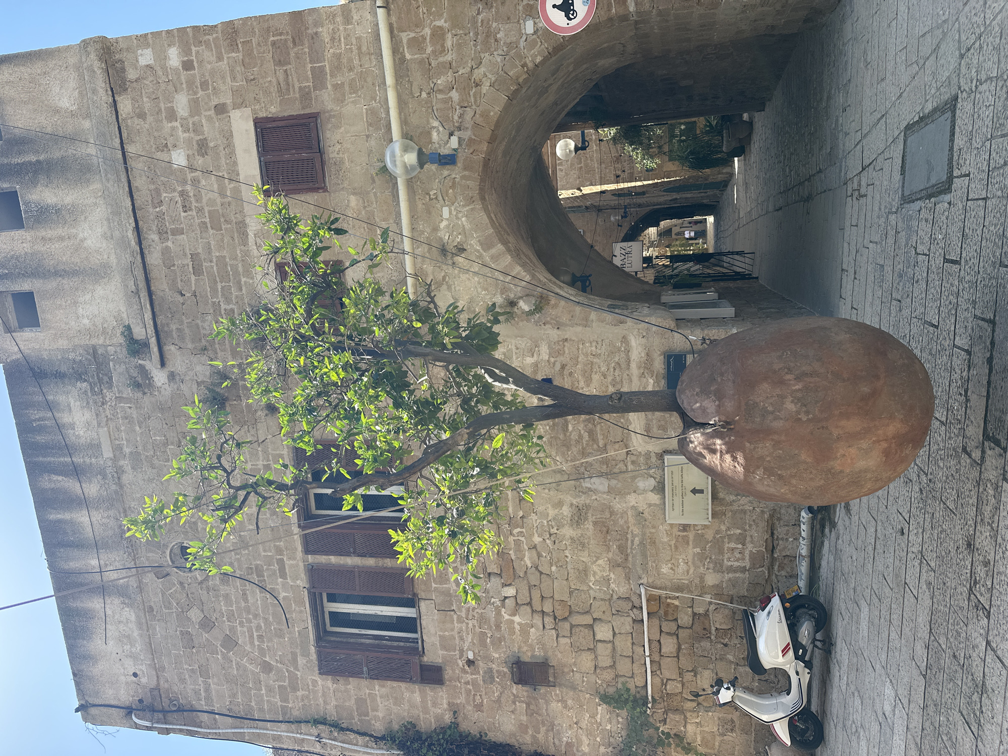 A low-angle view captures a distinctive scene in Tel Aviv, Israel. The foreground showcases a tree sprouting from a large, spherical clay pot. The pot is positioned adjacent to a building constructed from rough-hewn stone blocks, with windows featuring closed brown shutters. A white Vespa scooter is parked alongside the pot, indicating a narrow street or pedestrian zone.
Behind the tree, an arched passageway leads deeper into the street, revealing further buildings and architectural elements. The sky is a clear, pale blue. Overhead wires crisscross the scene, adding to the urban environment. A small street sign is visible on the wall near the base of the tree. The overall impression is a blending of nature and urban design, typical of Tel Aviv's unique streetscapes.