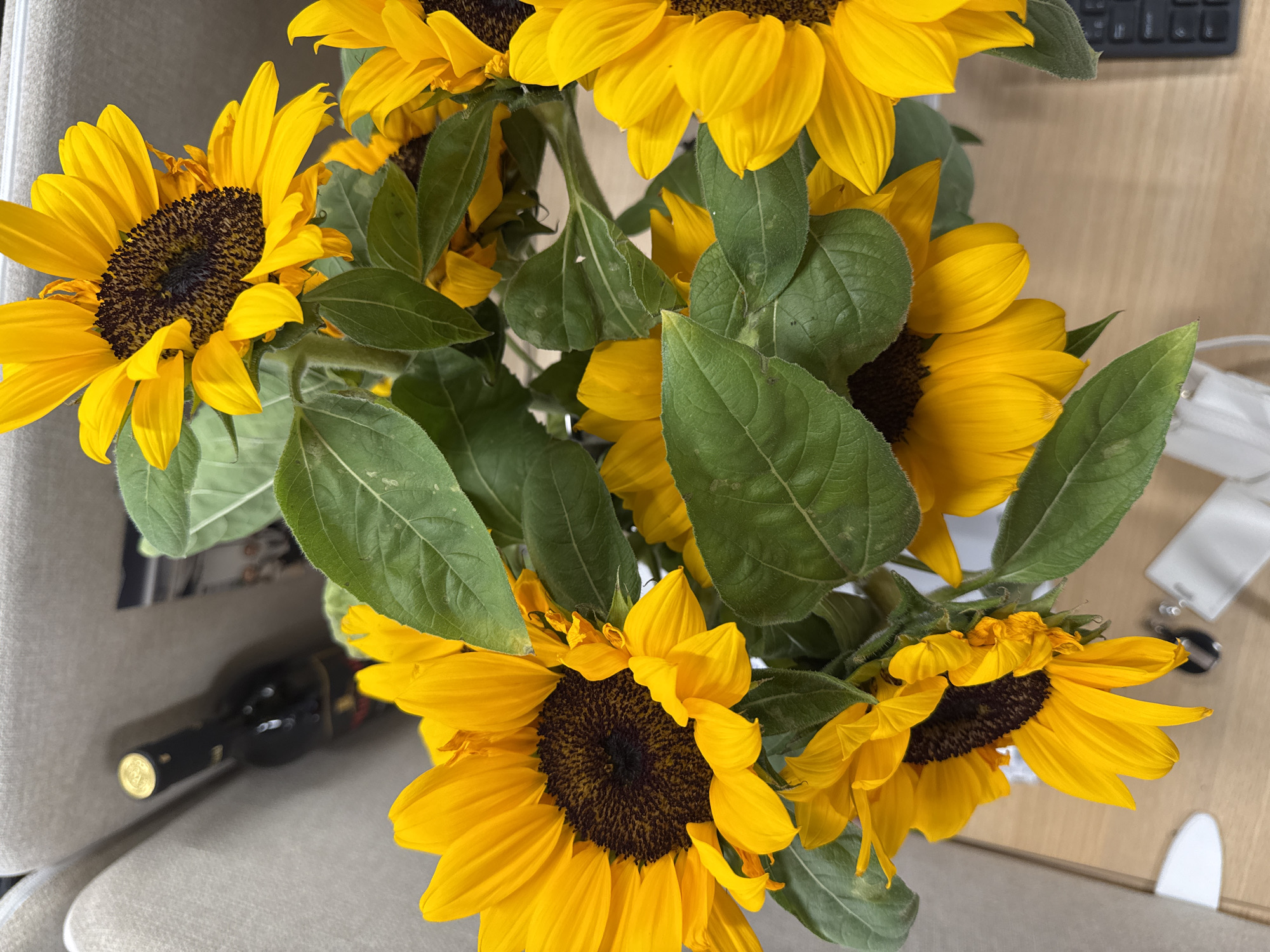 The image shows a close-up view of a bouquet of bright yellow sunflowers with green leaves, filling much of the frame. The sunflowers have dark brown centers. The bouquet is on a table or surface. In the background, out of focus, are a black keyboard, a white disposable face mask, a small black bottle (possibly wine), and other miscellaneous items. The surface appears to be a light beige or tan color. The specific location within the city of Yerevan, Armenia cannot be determined from the given image. There are no people visible in the image.