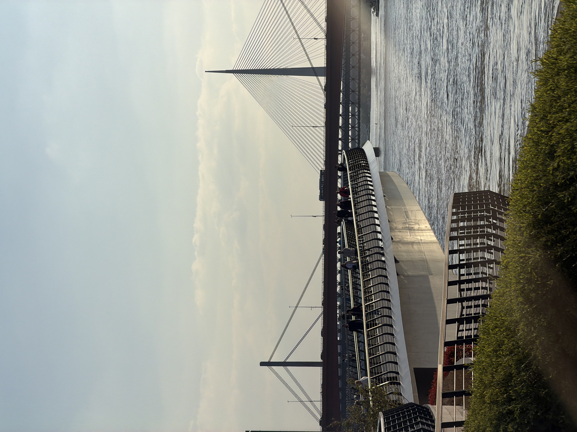 The image shows a view of Belgrade, Serbia, featuring two prominent bridges over the Sava River. In the foreground is a portion of the Sava Bridge, a modern pedestrian and cycling bridge with a distinctive white, curved steel structure. People are visible on the bridge. In the background is the Ada Bridge, a large cable-stayed bridge with a single pylon. The river's surface is reflective, and green trees are visible on the right side of the image. The sky is pale, suggesting either early morning or late afternoon light conditions. The scene captures a blend of modern architecture and natural elements in Belgrade's urban landscape.