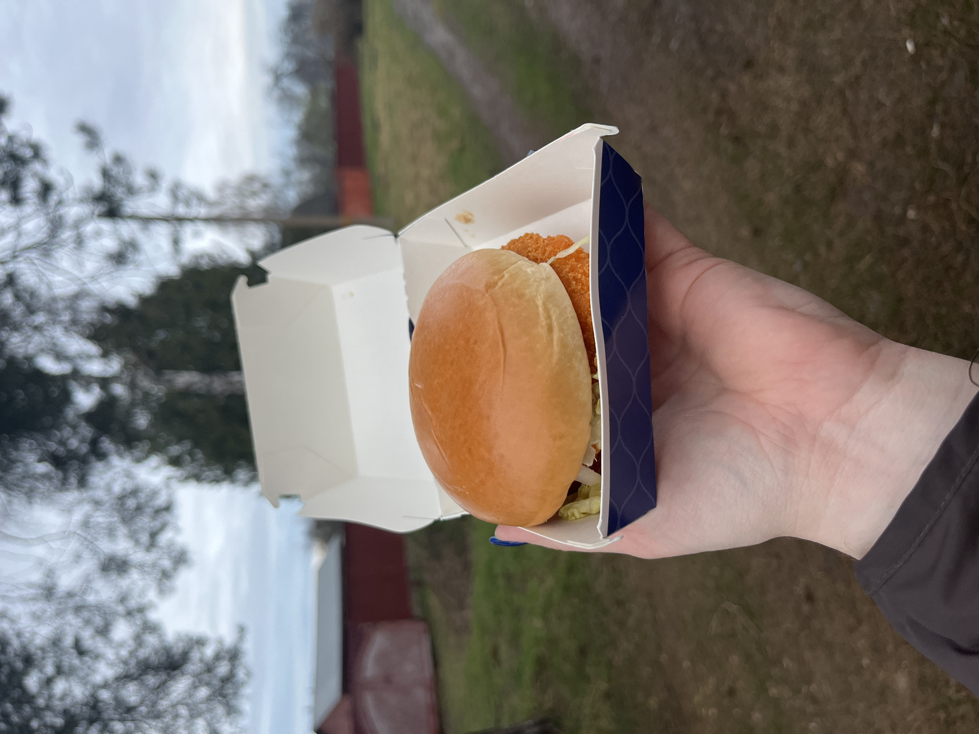 A person's hand holds a chicken sandwich in a white and blue paper box against an outdoor backdrop. The background features a blurred rural landscape with a red building and green grass under a cloudy sky. The sandwich, contained within the open box, consists of a golden bun and what appears to be a fried chicken patty with lettuce. The person is wearing a black or dark gray jacket. The location is not specified.