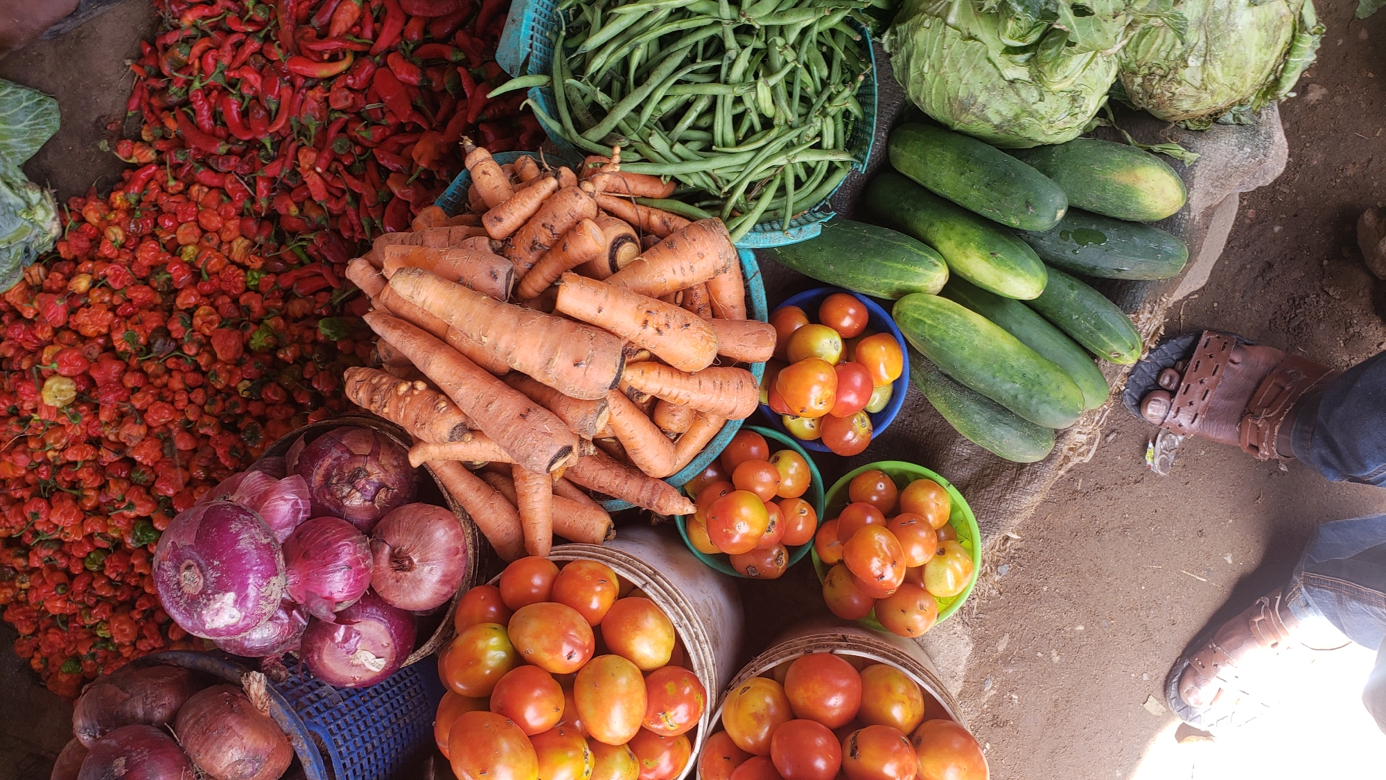 Sabon Tasha, Nigeria: An outdoor market display features a variety of fresh produce. Baskets and containers overflow with red chili peppers, orange carrots, green beans, cabbages, cucumbers, red onions, and tomatoes in varying shades of red and orange. Two pairs of feet in brown sandals are visible, positioned next to the display. The ground is a mix of dirt and stone.