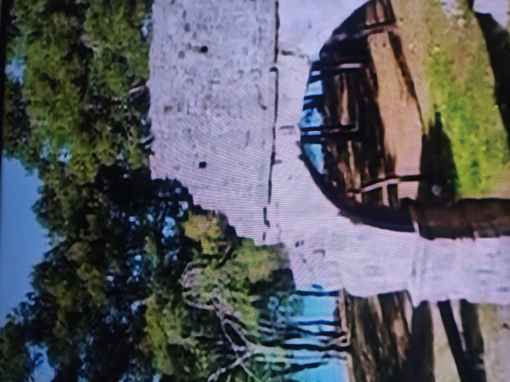 A photograph depicts a section of a park or landscape, possibly in or near Pavlodar, Kazakhstan, based on the request. A large, old wooden barrel is prominently featured, positioned near a stone or concrete structure. Foliage, likely trees and grass, is visible in the background and around the barrel, suggesting an outdoor setting. The photograph is slightly blurred, which can obscure specific details and interactions, it focuses primarily on the barrel's texture and the surrounding green areas. There are no immediately discernable people in the frame.