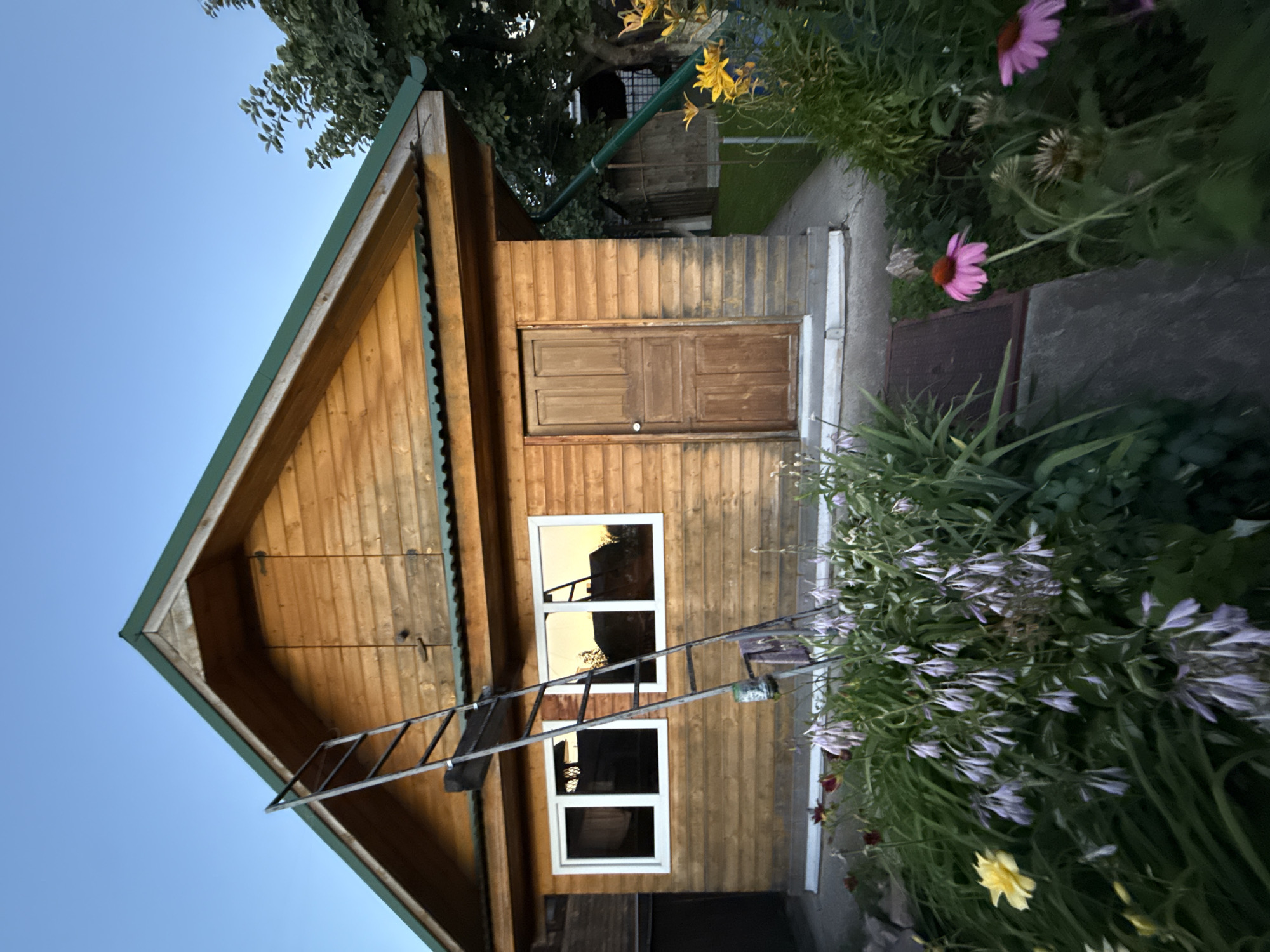The image shows a wooden house in Bor, Russia. The house has a green roof, two white-framed windows, and a wooden door. A ladder leans against the side of the house. In front of the house is a garden with various flowers, including yellow and pink varieties, and lush green foliage. The sky is a clear blue.